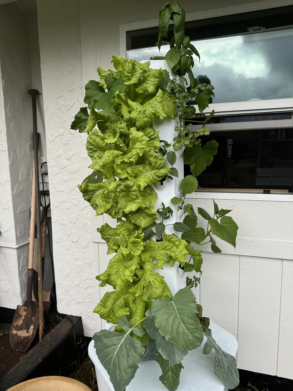 Standard Outdoor Vertical Hydroponic Growing System Kit, Grow 27 Large Lettuce, Vegetables, Herbs, Fruit | 20 Gallon Water Tank, 20' Pump Cable, Smart WiFi Timer | Easy Assembly & Use customer photo 1