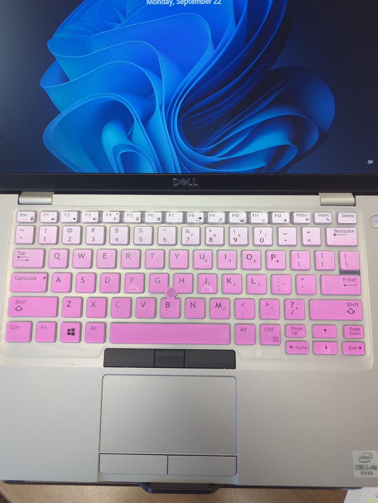 Keyboard Cover Skin for Dell Latitude 5480 5490 7490, Dell 3340 E3340 E7450 E7470 E5450 E5470 E5491 E7480 Laptop Silicone Keyboard Cover Keyboard Protector, Ombre Pink (US Layout, with Pointing) customer photo 1
