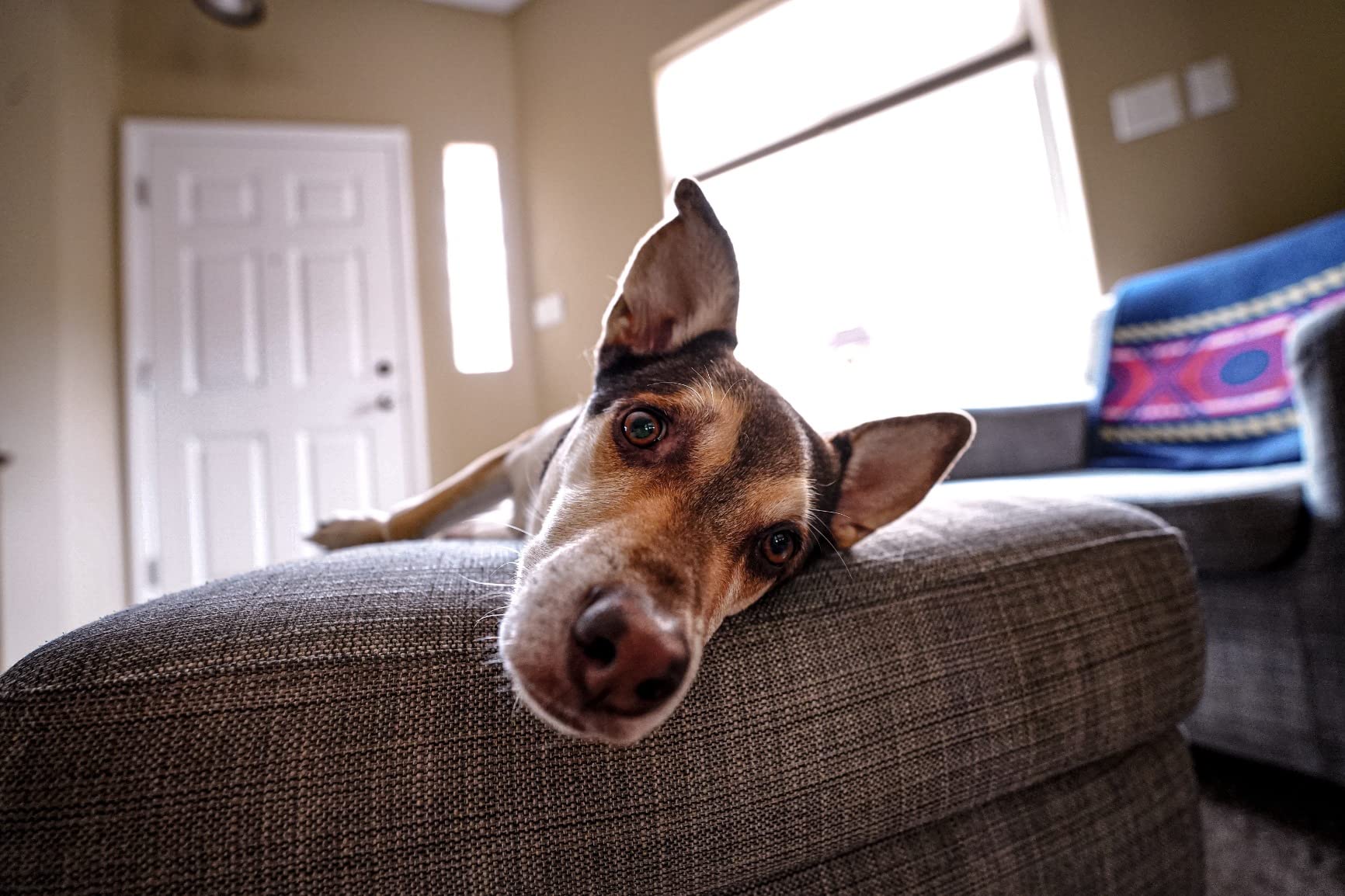 Sigma 14-24mm F2.8 DG DN Art for Sony E Mount, Black customer photo 1