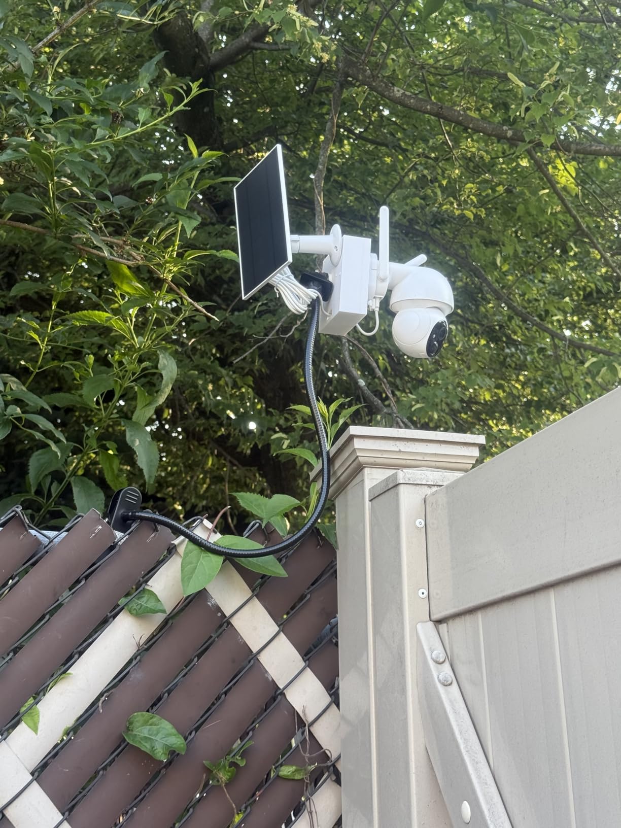 Pipishell 25 Inch Webcam Stand, Flexible Desk Mount Clamp Gooseneck Stand for Logitech Webcam C960 C930e C930 C920 C920S C922x C922 Brio 4K C925e C615 and Other Devices with 1/4