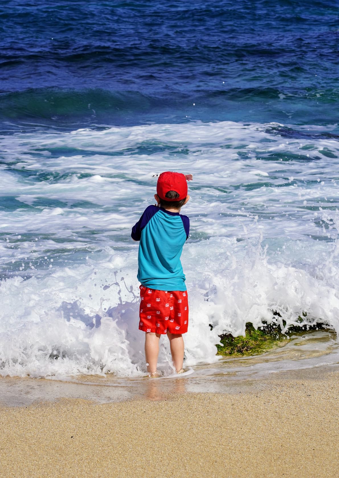 Sony SEL85F18 85mm F/1.8-22 Medium-Telephoto Fixed Prime Camera Lens customer photo 2