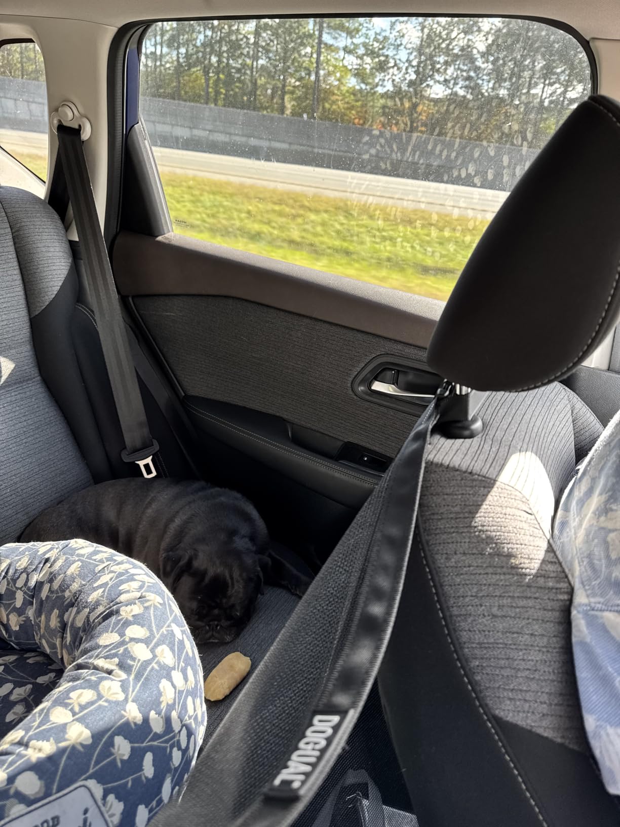 Dog Car Net Barrier - Universal Fit Sturdy Mesh, Easy to Install, Convenient for Air Conditioning, Easy to Clean & with Flexible Bungee Cords for Seat Movement customer photo 1