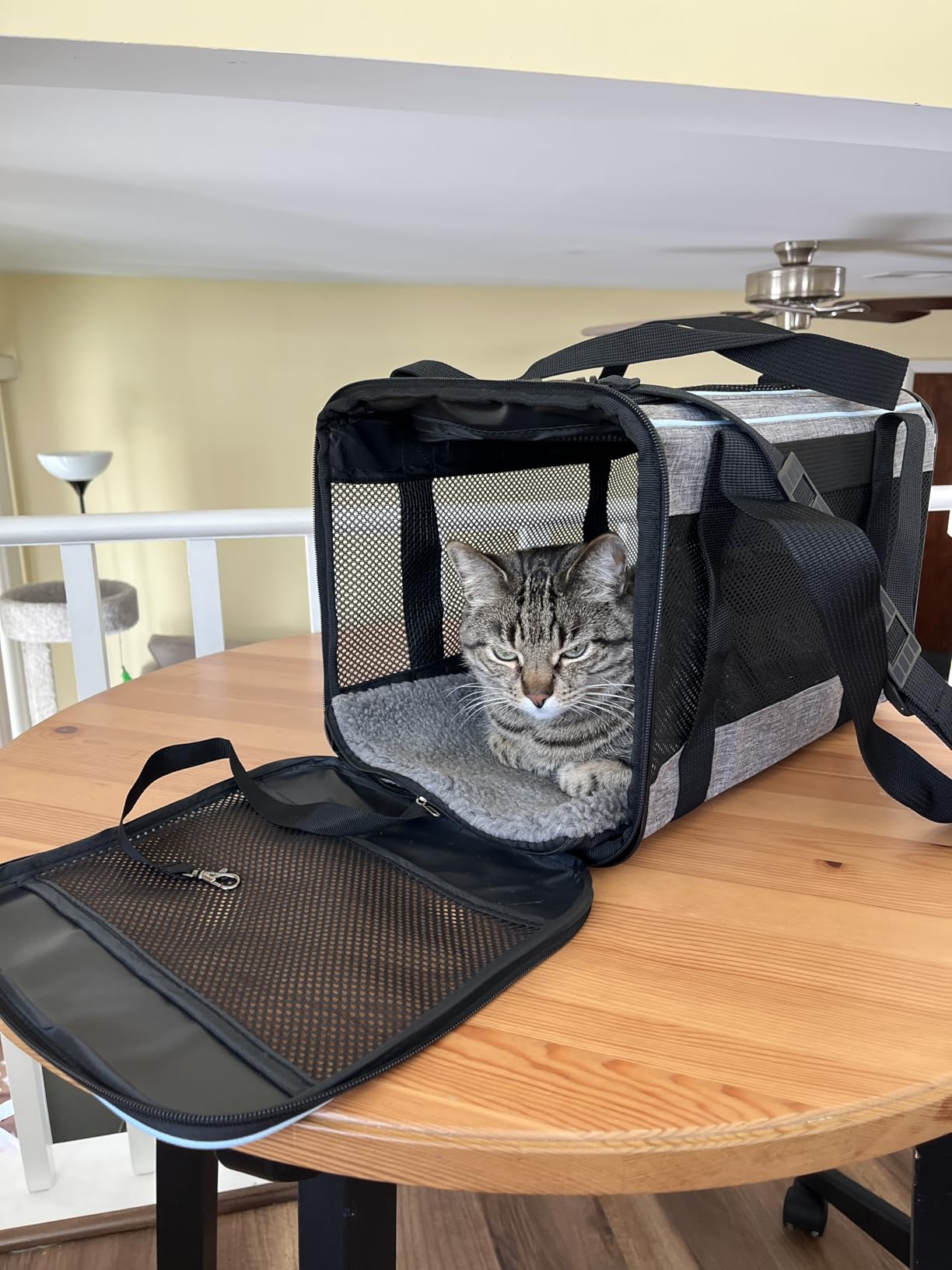 Vceoa 17.5x11x11 Inches Cat, Dog Carrier for Pets Up to 16 Lbs, Soft-Sided Cat Bag Animal Carriers Travel Puppy Carry As a Toy of Fabric Pet Home customer photo 1