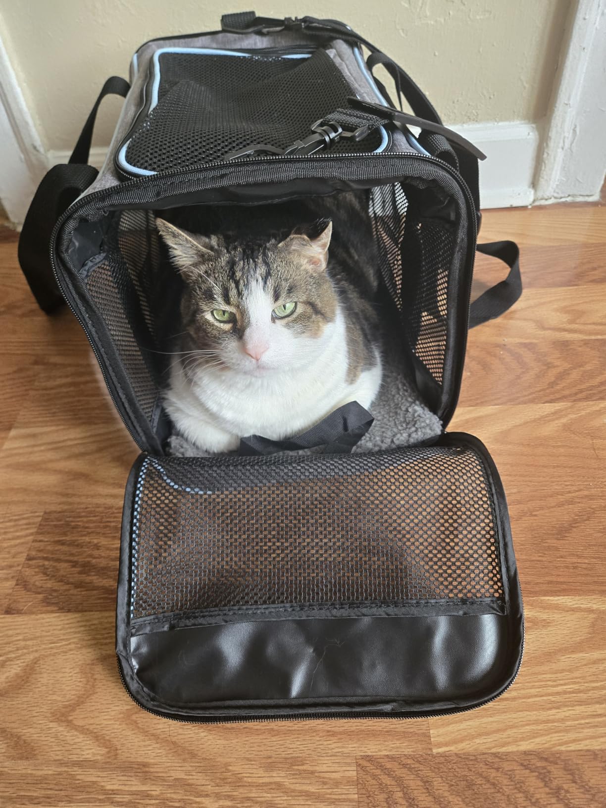 Vceoa 17.5x11x11 Inches Cat, Dog Carrier for Pets Up to 16 Lbs, Soft-Sided Cat Bag Animal Carriers Travel Puppy Carry As a Toy of Fabric Pet Home customer photo 2