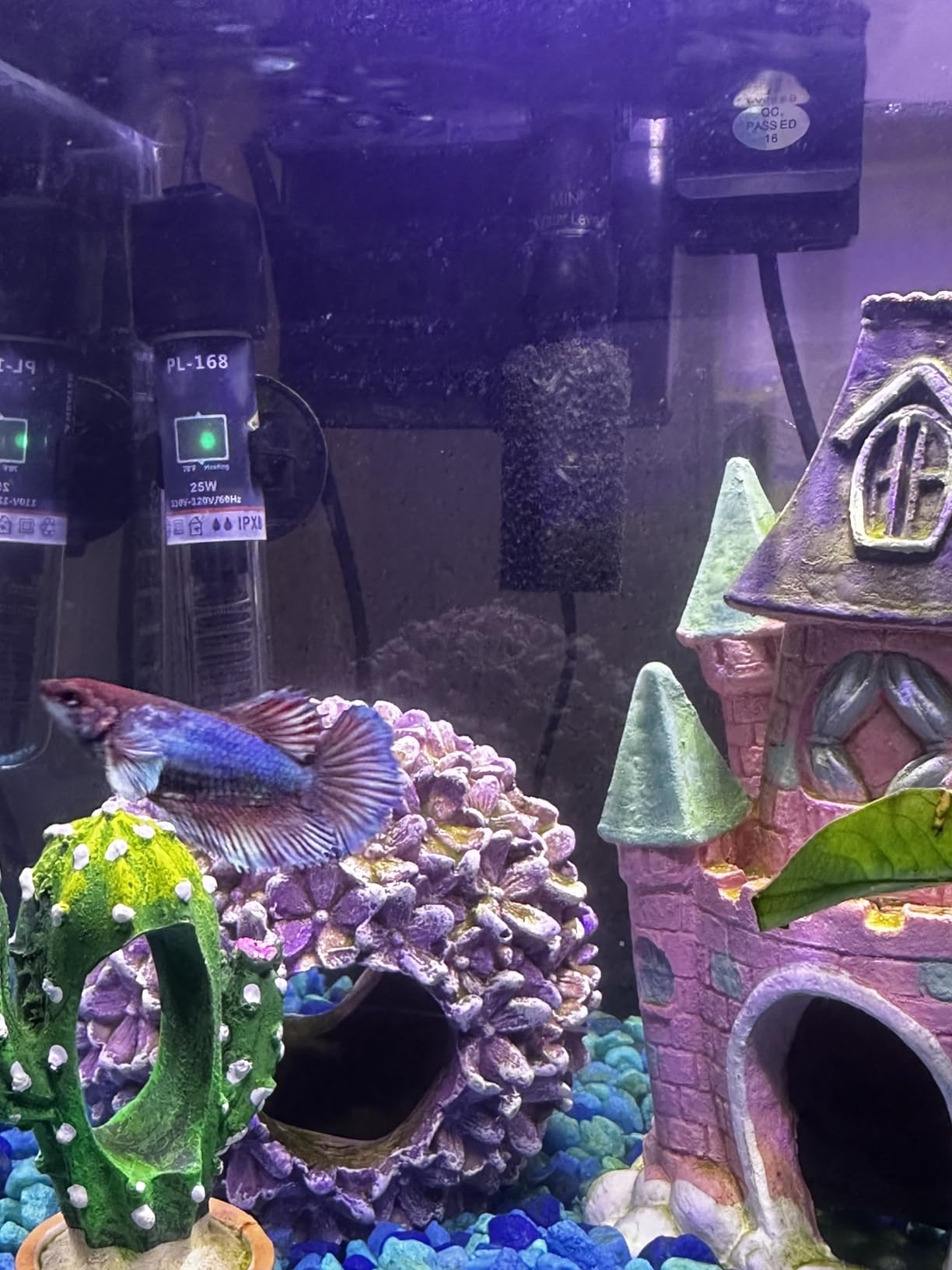 PULACO 25Watt Mini Aquarium Submersible Betta Heater with Free Thermometer Strip for 1-6 Gallon Fish Tanks (Preset Temperature 78°F) customer photo 1