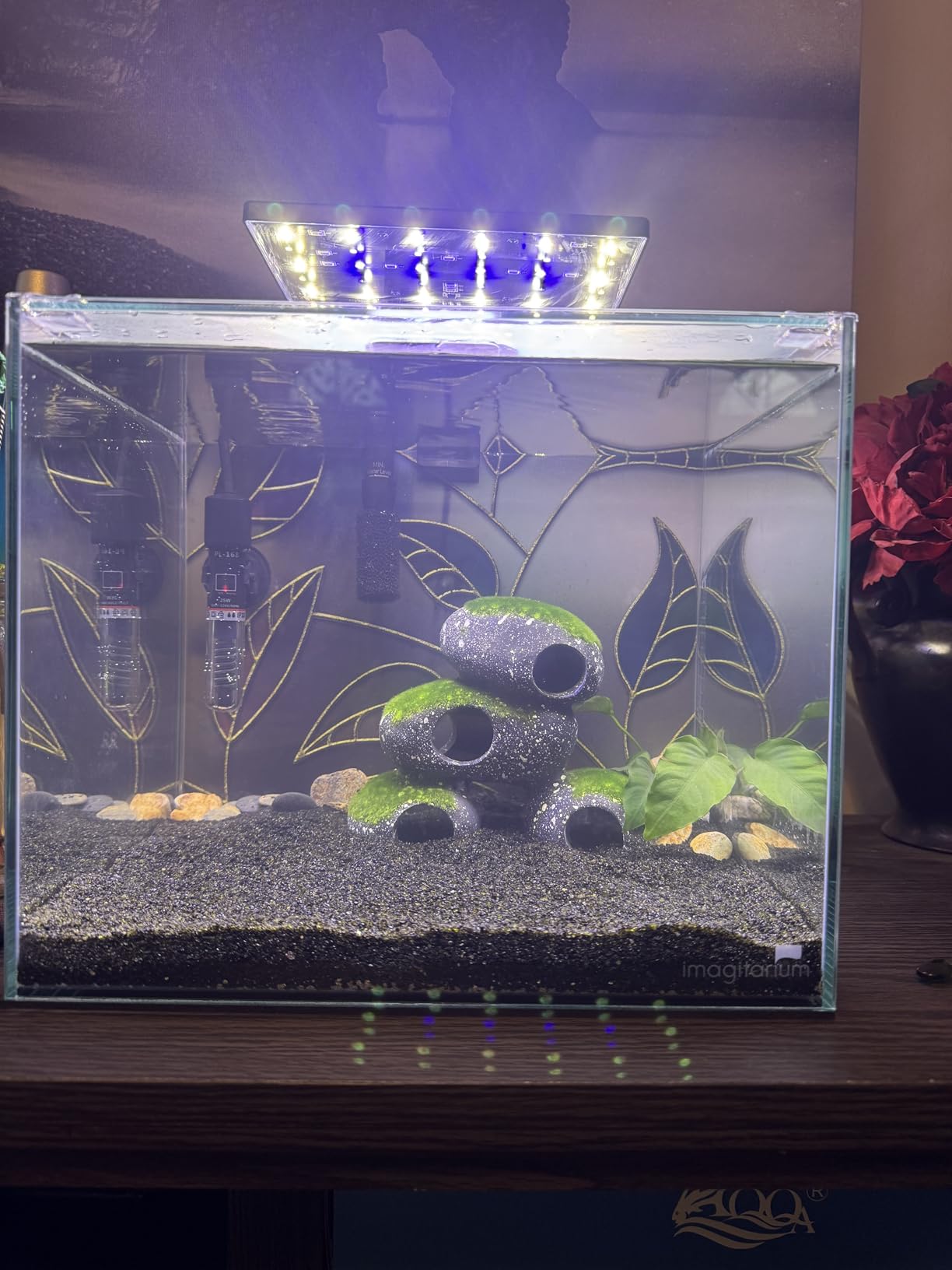 PULACO 25Watt Mini Aquarium Submersible Betta Heater with Free Thermometer Strip for 1-6 Gallon Fish Tanks (Preset Temperature 78°F) customer photo 2