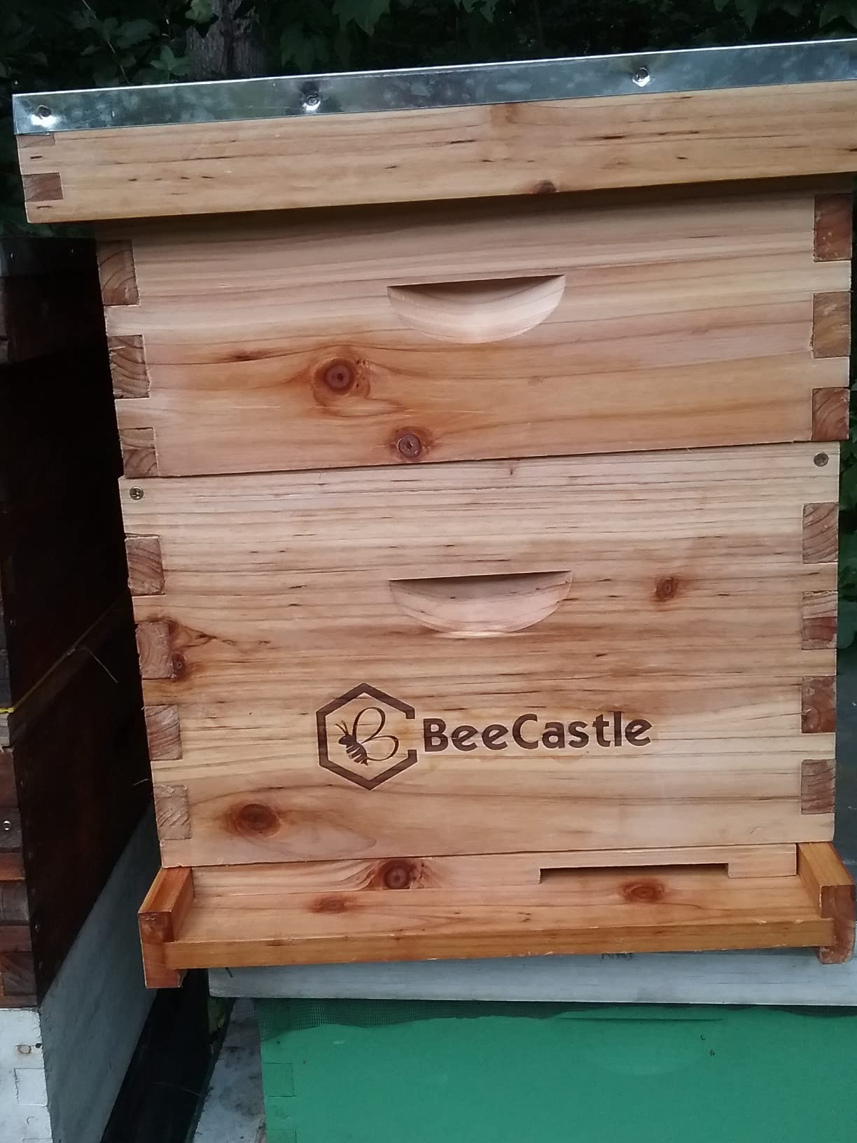 BeeCastle 10-Frames Complete Beehive Kit, 100% Beeswax Coated Bee Hive Includes Beehive Frames and Beeswax Coated Foundation Sheet (2 Layer) customer photo 2