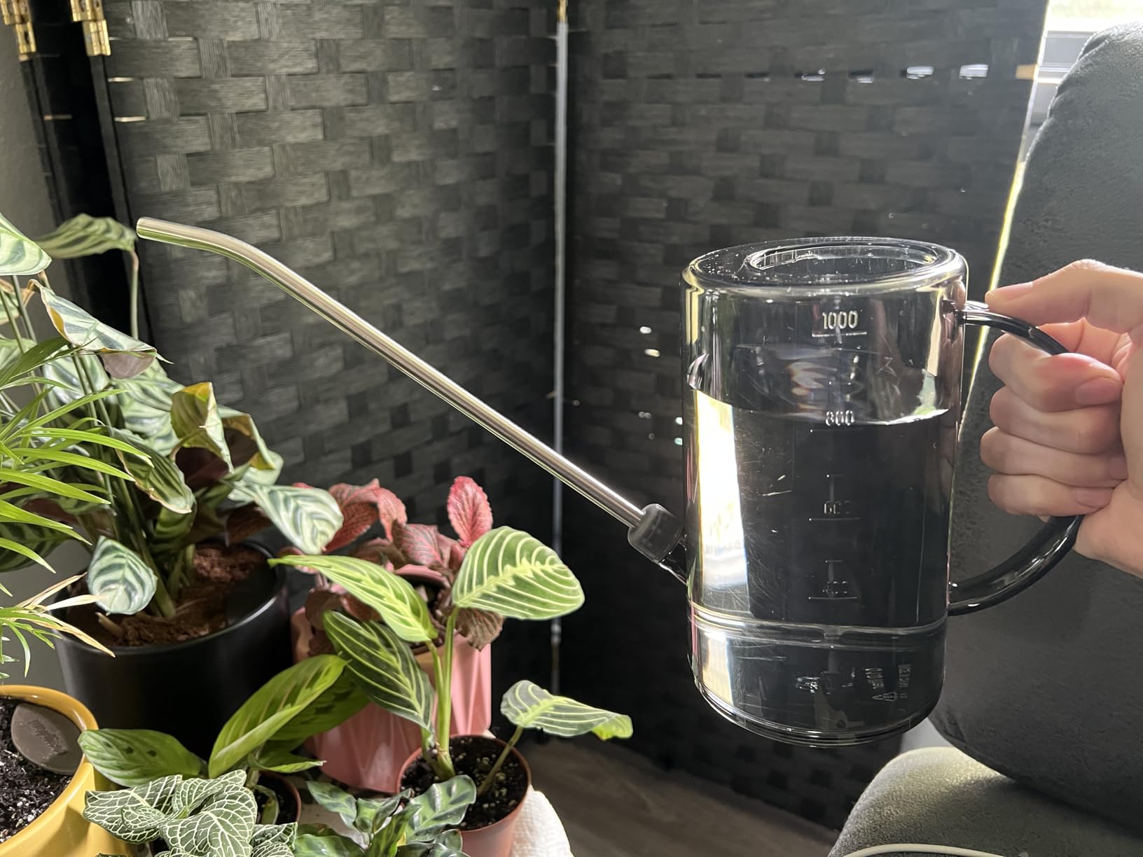 Watering Can Indoor, Small Watering Cans for House Plants, Succulents and Flowers, Long Spout, 1 Liter, with Bonus Plant Mister Spray Bottle customer photo 1