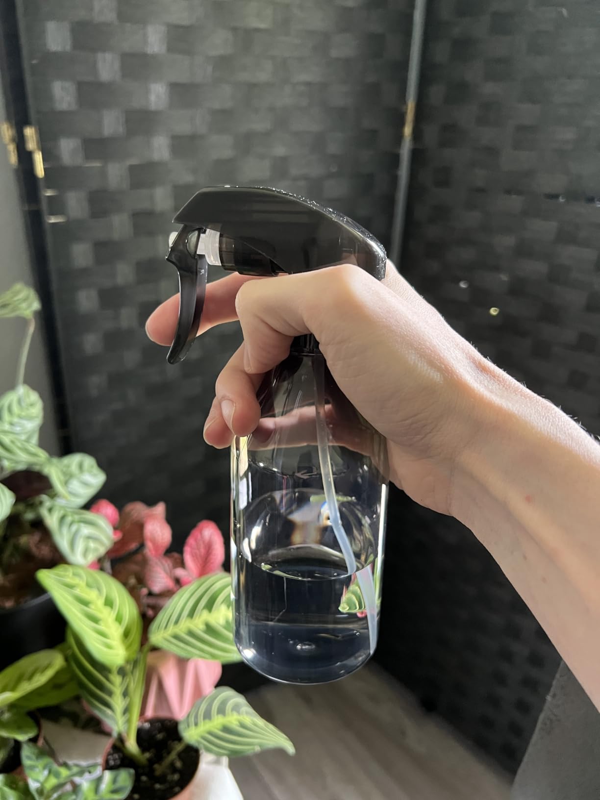 Watering Can Indoor, Small Watering Cans for House Plants, Succulents and Flowers, Long Spout, 1 Liter, with Bonus Plant Mister Spray Bottle customer photo 2