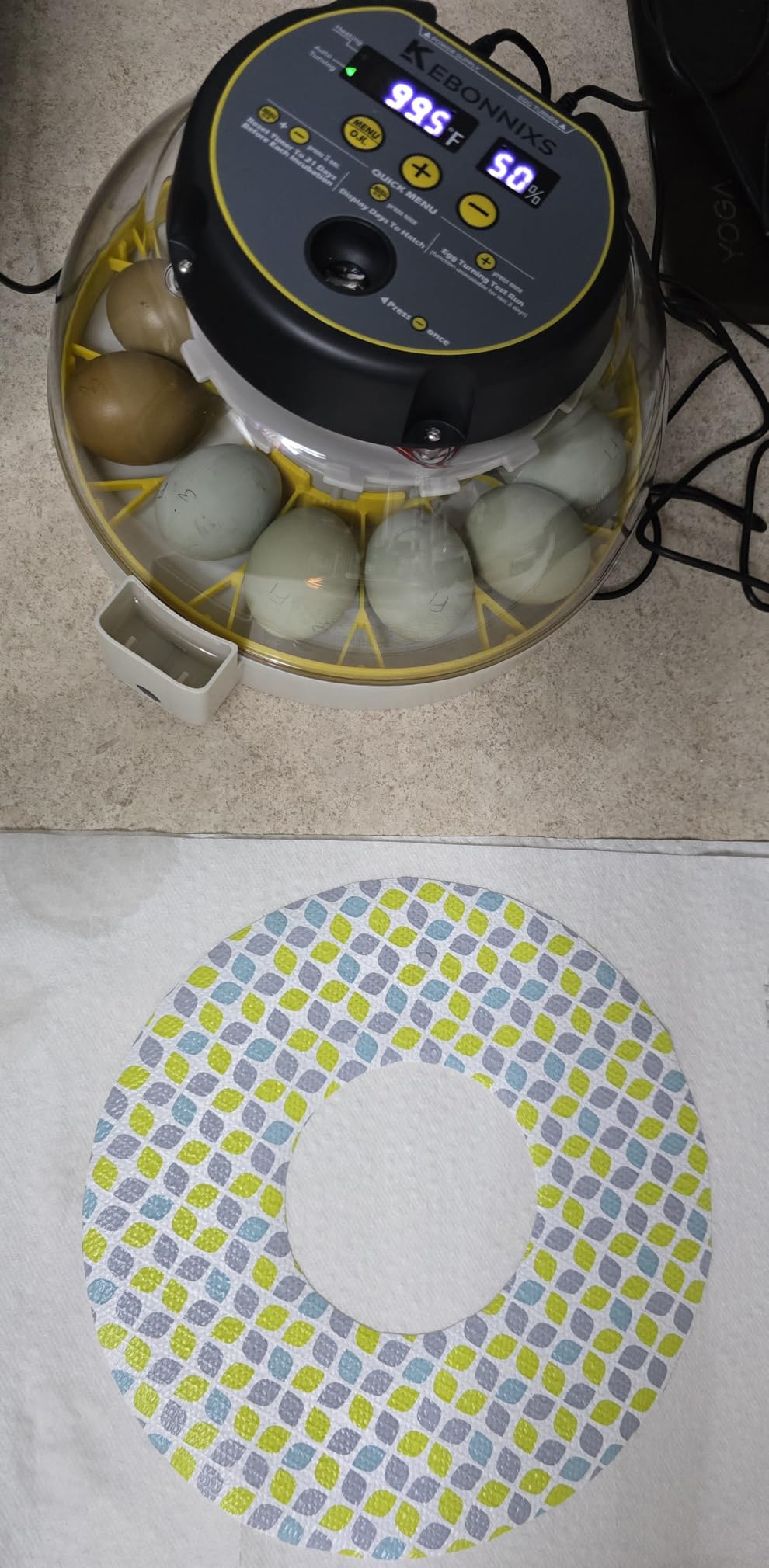 12 Egg Incubator with Humidity Display, Egg Candler, Automatic Egg Turner, for Hatching Chickens customer photo 2