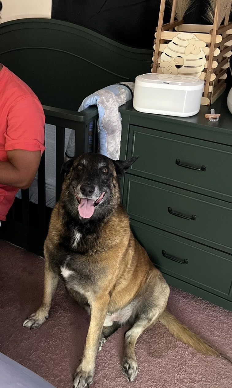 Davinci Charlie 6-Drawer Double Dresser in White - GREENGUARD Gold Certified customer photo 1