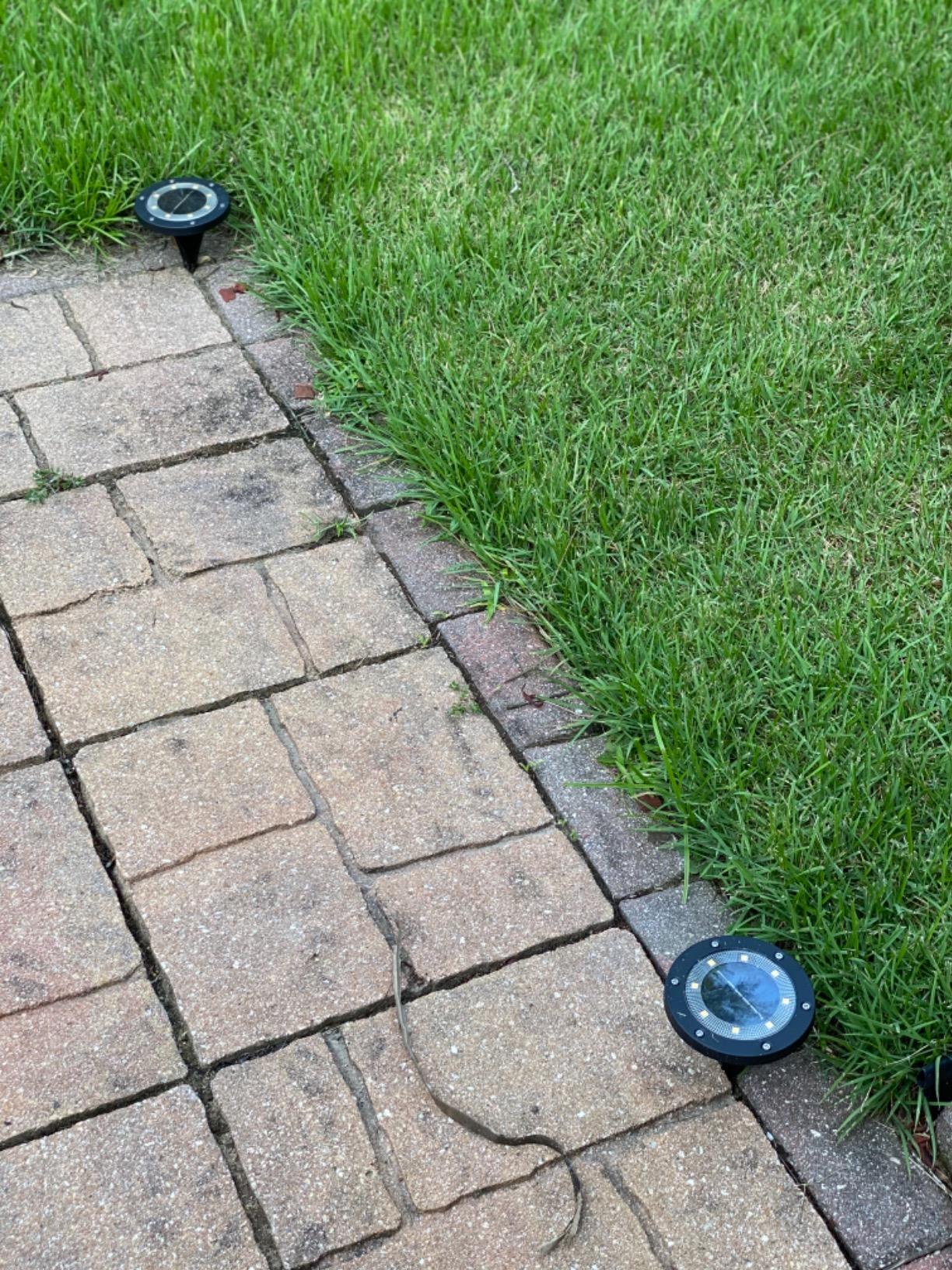 CRAFTSMAN Lawn Edger Tool, Corded, 12 Amp (CMEED400) customer photo 2