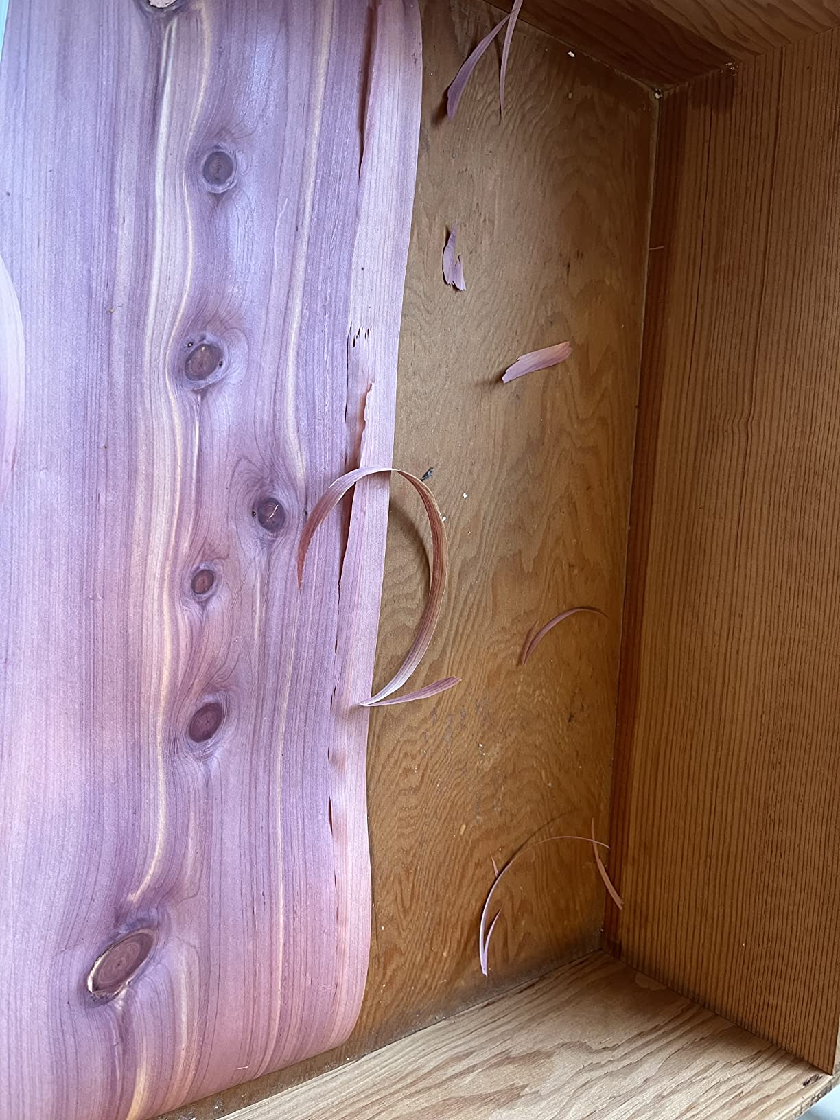 Household Essentials Cedar Drawer and Closet Shelf Liner | 6-Feet by 10-Inch | Brown, (Pack of 6) customer photo 2