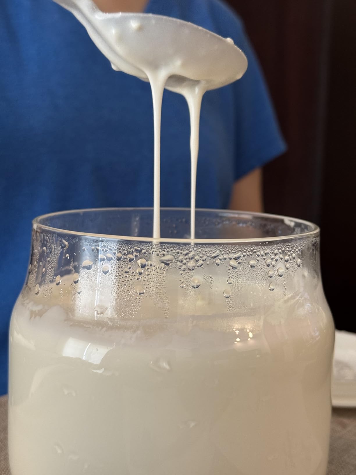 Bear Yogurt Maker, Greek Yogurt Maker Machine with Strainer and Timer Control, Stainless Steel Inner Pot, Automatic Digital with 2 Glass Jars 1 Quart for Home Organic Yogurt, Cheese, Fruit Wine customer photo 1