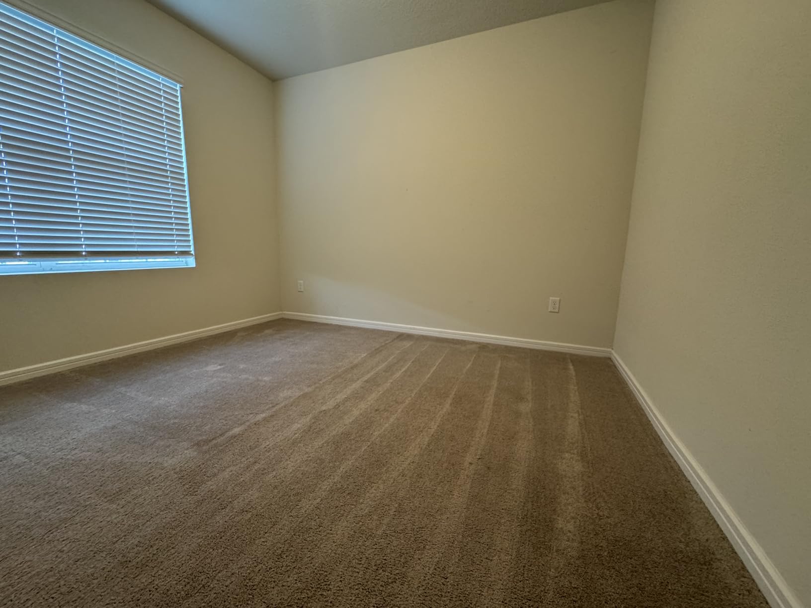 Rug Doctor Mighty Pro X3 Commercial Carpet Cleaner - Large Red Pet Pack, Includes 48 oz. Pet Carpet Cleaner Solution customer photo 1