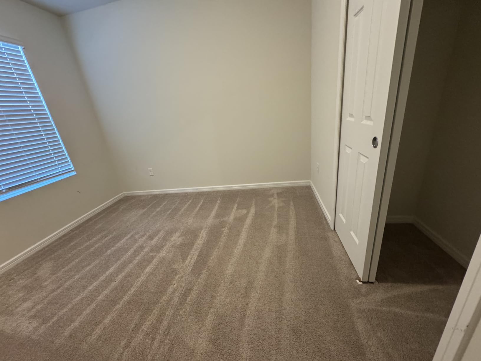 Rug Doctor Mighty Pro X3 Commercial Carpet Cleaner - Large Red Pet Pack, Includes 48 oz. Pet Carpet Cleaner Solution customer photo 2