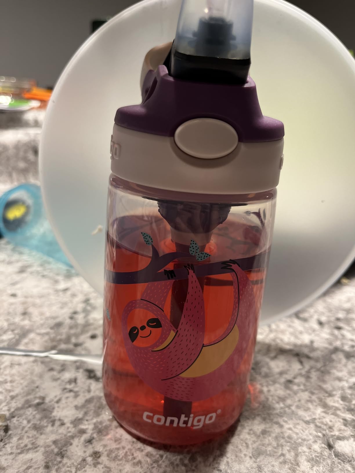 Contigo Aubrey Kids Water Bottle, 2-Pack, 14oz, Dinos & Sharks, Spill-Proof Lid, Dishwasher Safe, Blue & Green customer photo 2