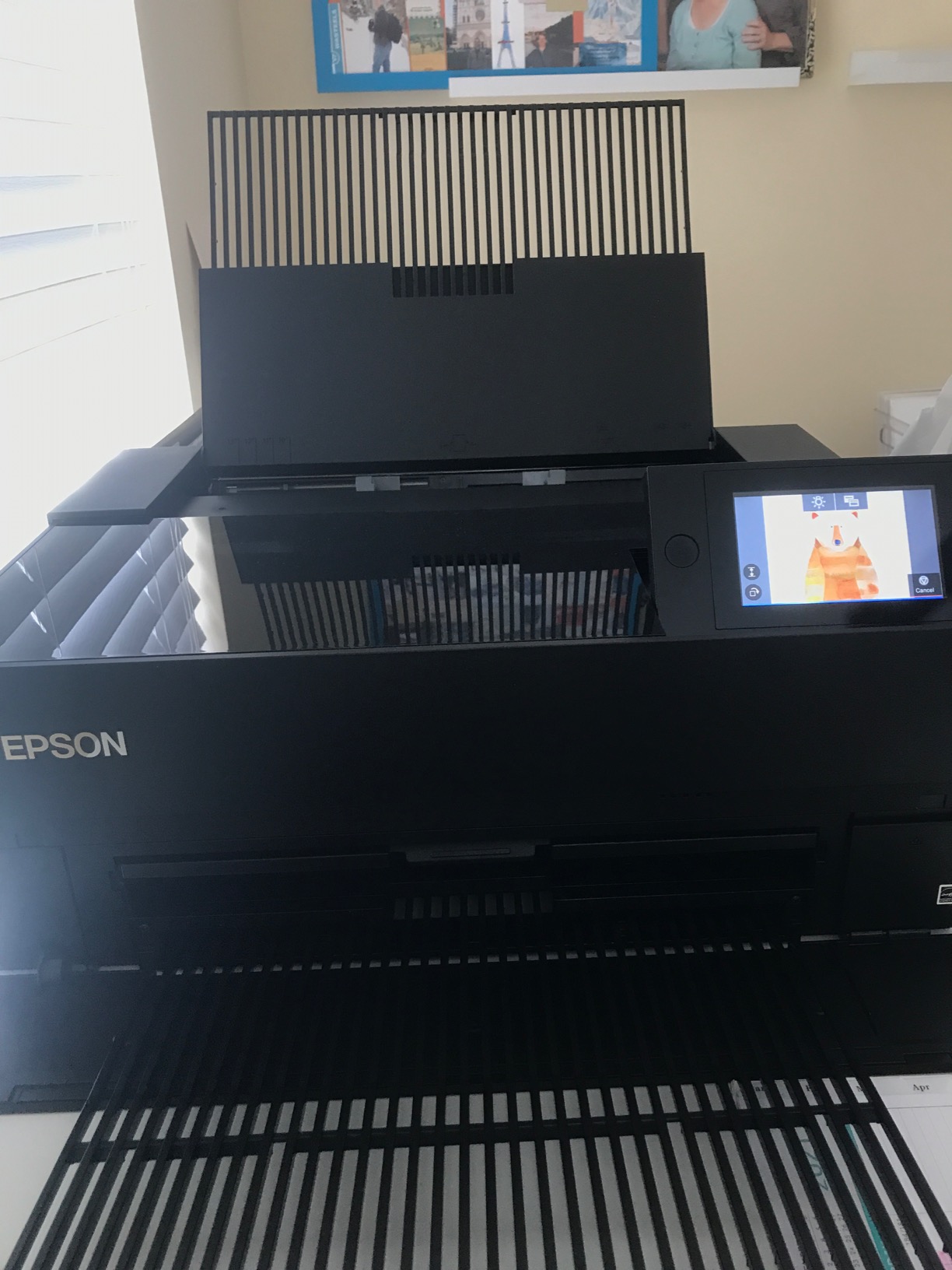 SureColor P700 13-Inch Printer,Black customer photo 2