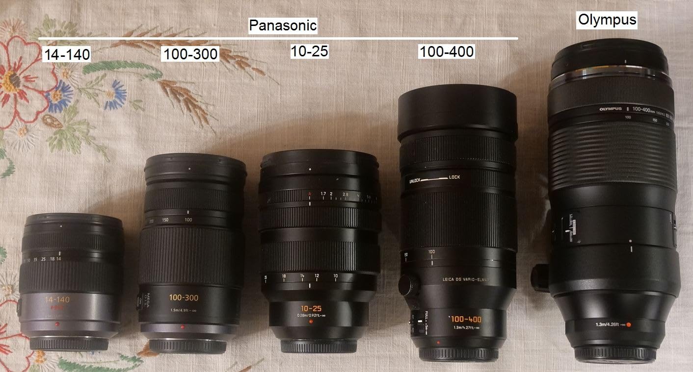 Olympus M.Zuiko Digital 100-400mm F5.0-6.3 IS for Micro Four Thirds System Camera, Outdoor Bird Wildlife, Weather Sealed Design customer photo 2