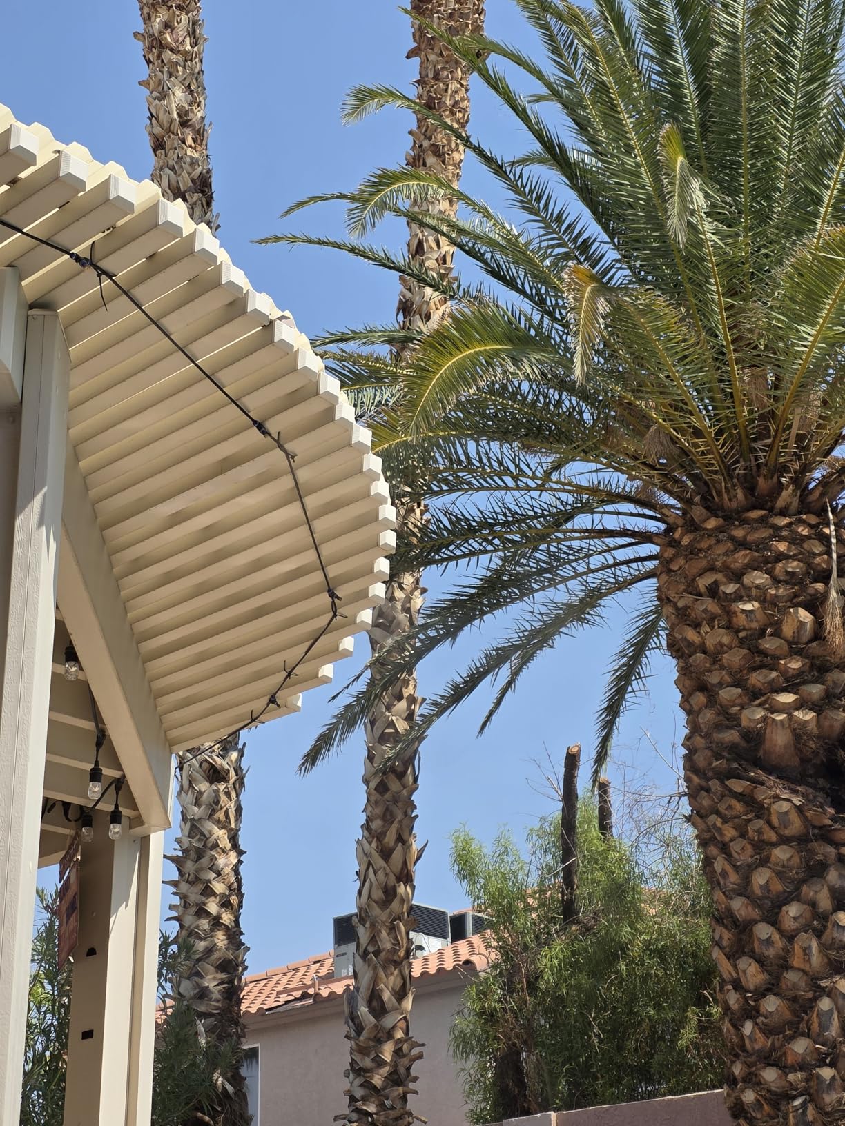 Misters for Outside Patio, 50FT|15M Outdoor Water Misting Cooling System. Backyard Mist Kit for Garden Greenhouse Fan Deck Umbrella Canopy Pool Porch Trampoline Sprinkler Park BBQ Party Accessories customer photo 2