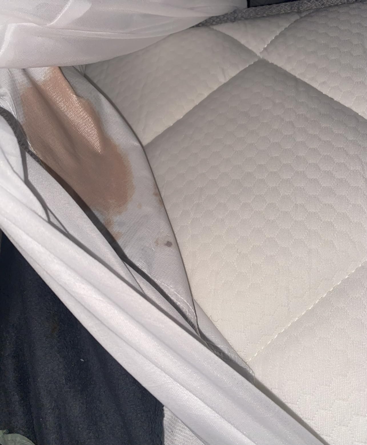 Queen Mattress Protector Waterproof Cover Absorbent Fitted Sheet up - 18'' Deep Pocket Mattress Cover Queen Size Bed Sheets, Terry Machine Wash Protection Mattress Protector customer photo 1