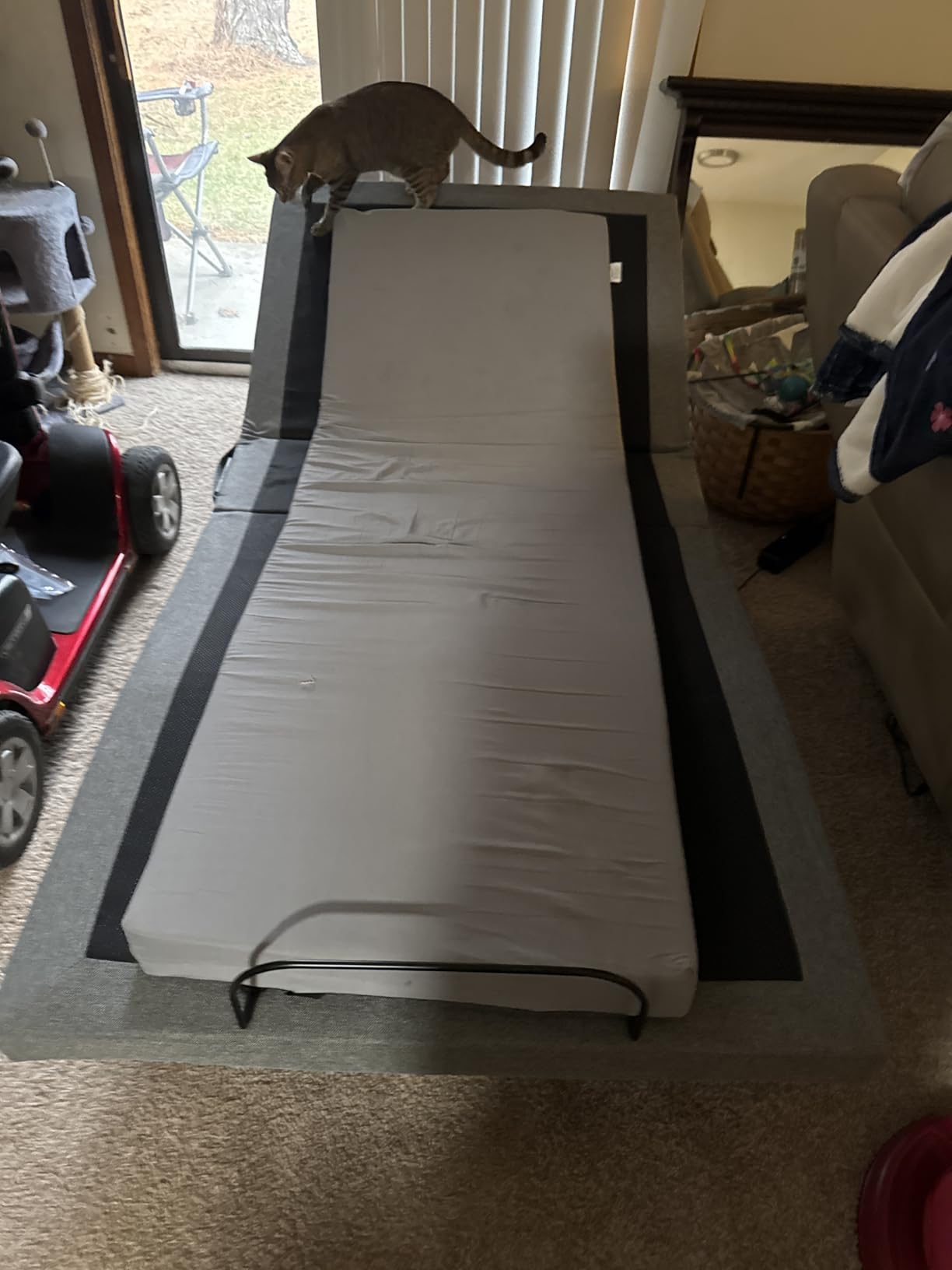 Best Choice Products Ergonomic Queen Size Adjustable Bed Frame, Electric Base w/Wireless Remote Control, Nightlight, Massager, 2 USB Ports customer photo 1