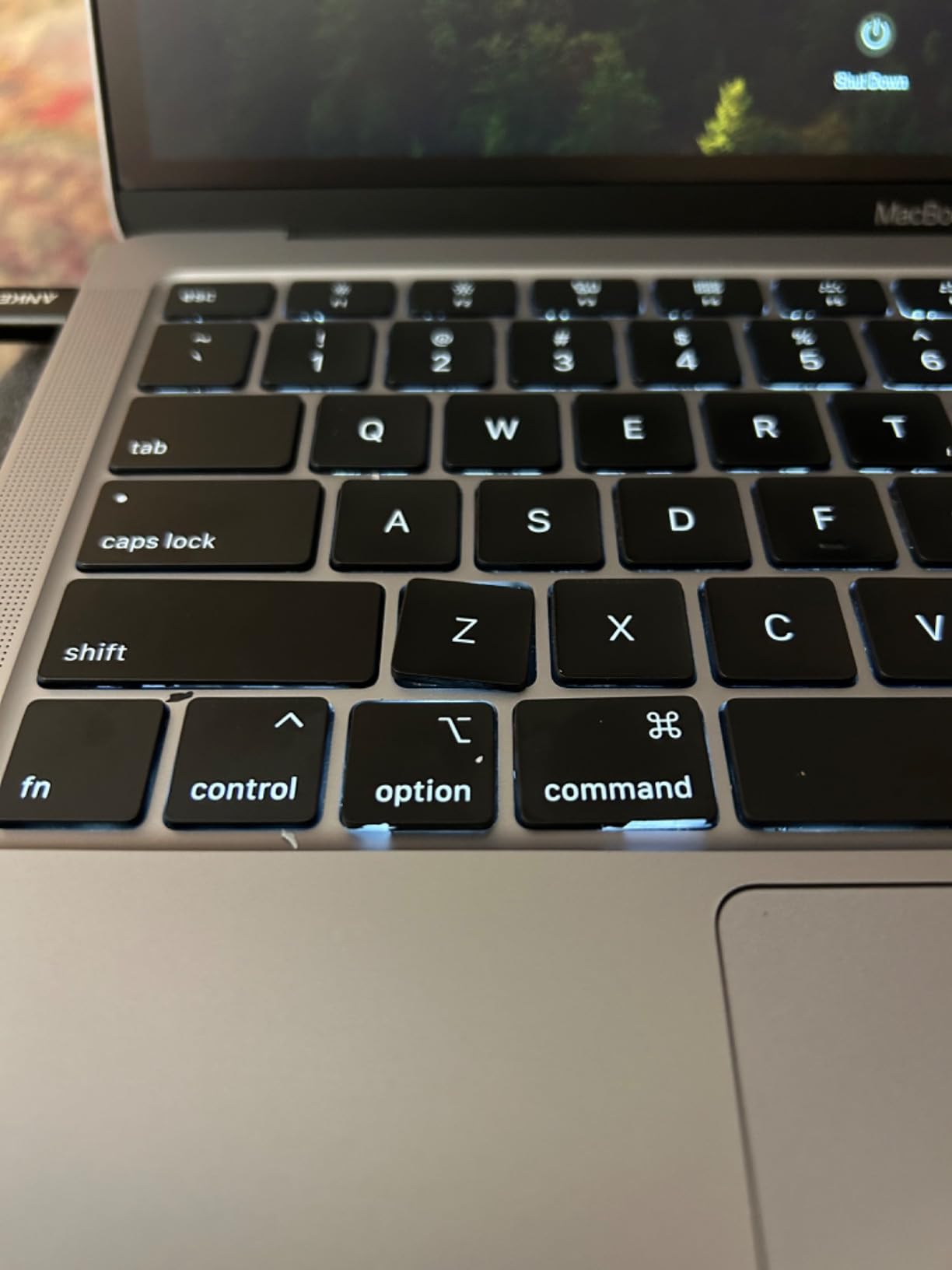 Apple Early 2020 MacBook Air with 1.1GHz Intel Core i3, 13-inch, 8GB RAM, 256GB SSD Storage Silver (Renewed) customer photo 2