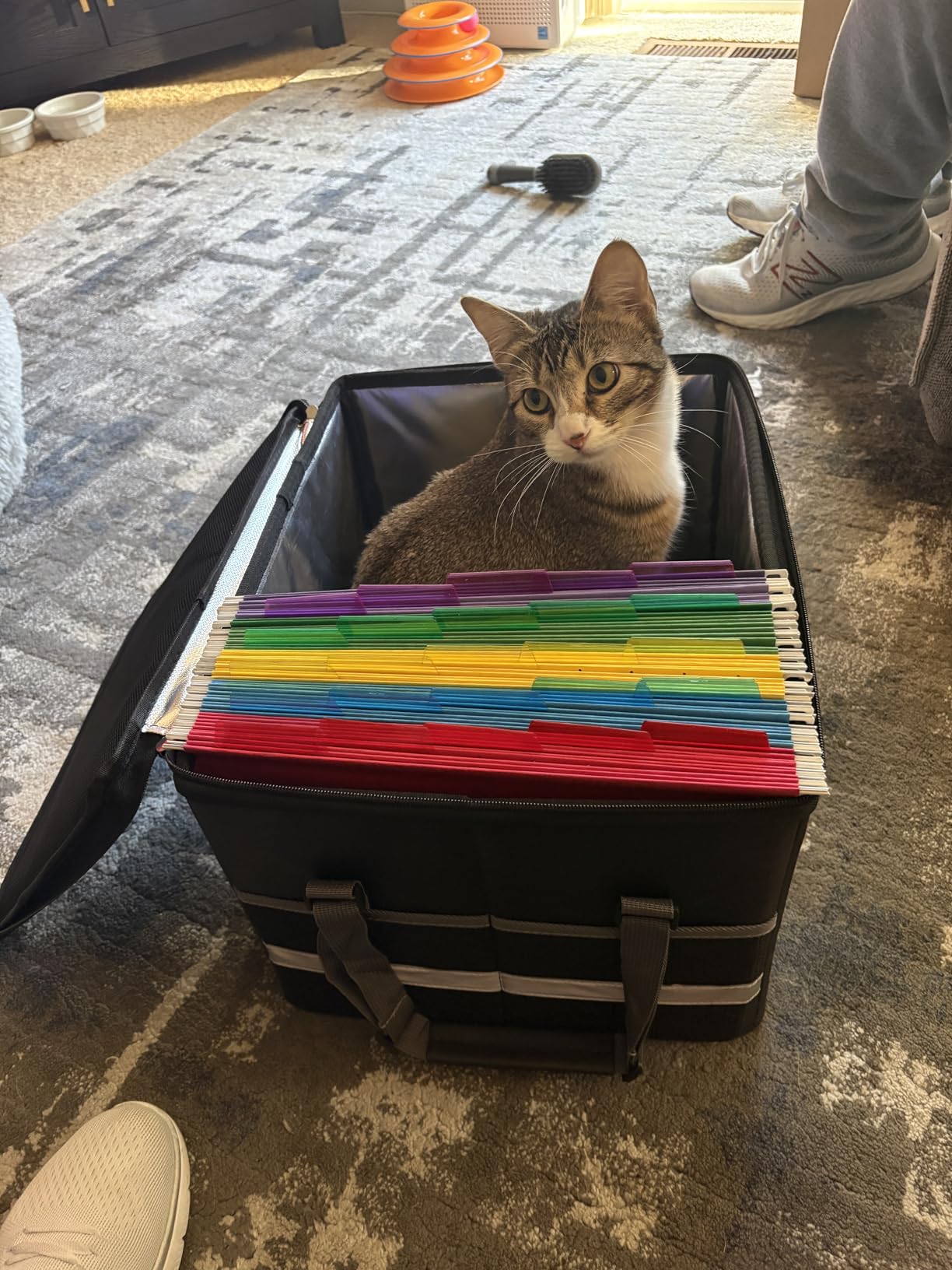 ENGPOW File Box with Lock, Fireproof Document Box with Zipper and Pockets, Collapsible File Organizer Filing Storage Cabinet with Handle, Portable Home Office Safe for Hanging Letter/Legal Folder, Black customer photo 1