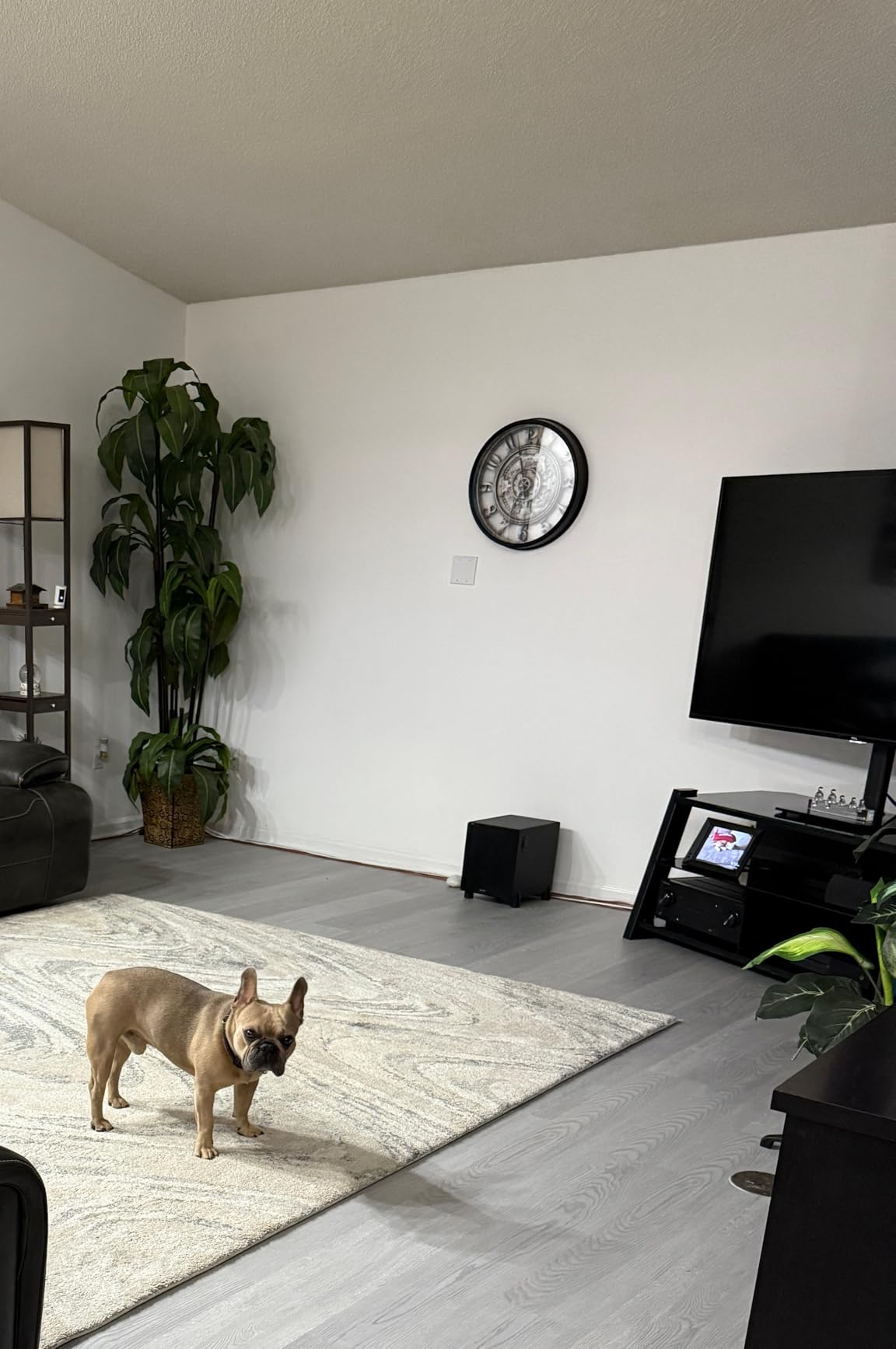 EVEO Cable Management Under Desk Kit (6 Units) - Under Desk Cable Management customer photo 1