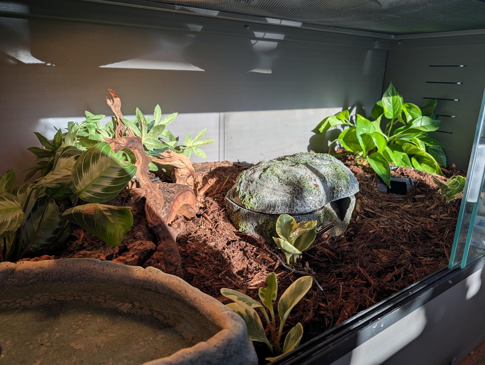 New Age Pet ECOFLEX 48