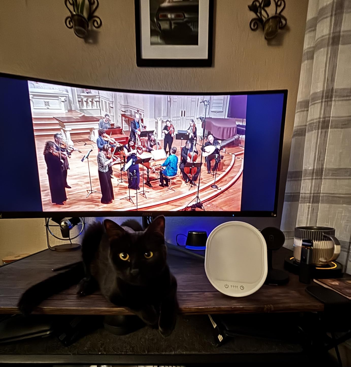 UV-Free 10000 Lux Daylight Lamp - Touch Control with 3 Brightness Levels & 4 Timer Functions, Large Surface & Rotatable Stand for Home/Office customer photo 2