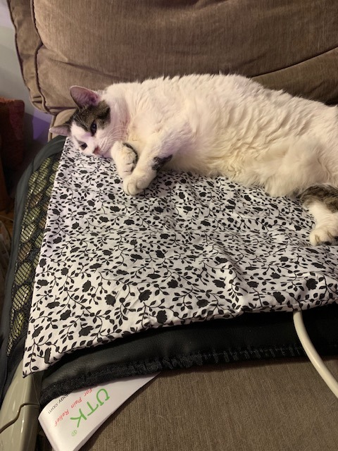 UTK 70'' x 24'' Full Body Quantum Wave Far Infrared Heating pad, 5X Pain Relief, FSA-HSA Eligible Weighted Mat with Magnets Stone, Jade & Tourmaline, Hotter to 159℉, 4H Auto-Off, Gift for Women Men customer photo 2