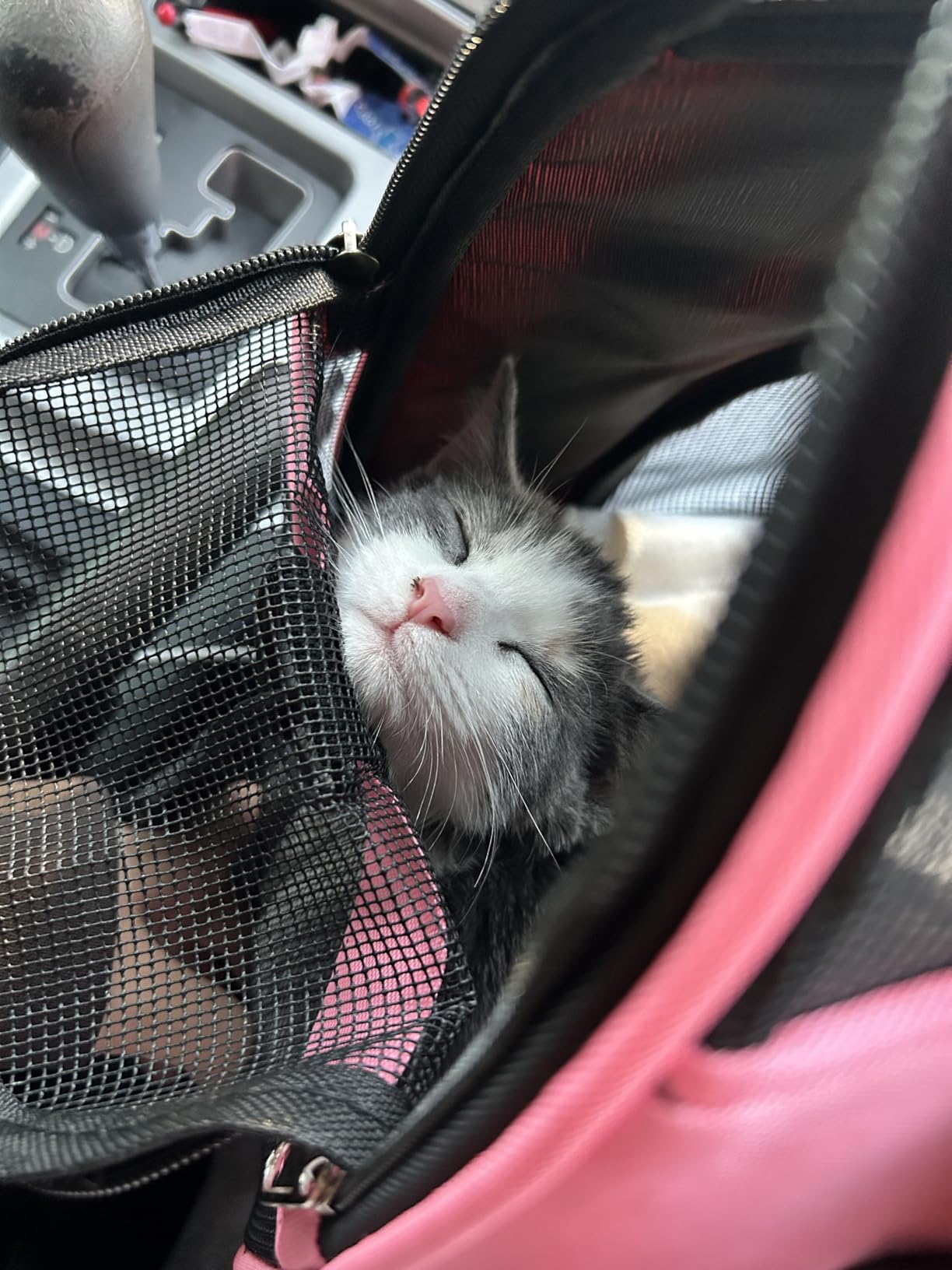Cat Carrier for Small Cats Soft-Sided Pet Carrier for Cats Puppies Small Pets Airline Approved Lightweight Comfortable Travel Cat Carrier (Small, Pink) customer photo 1
