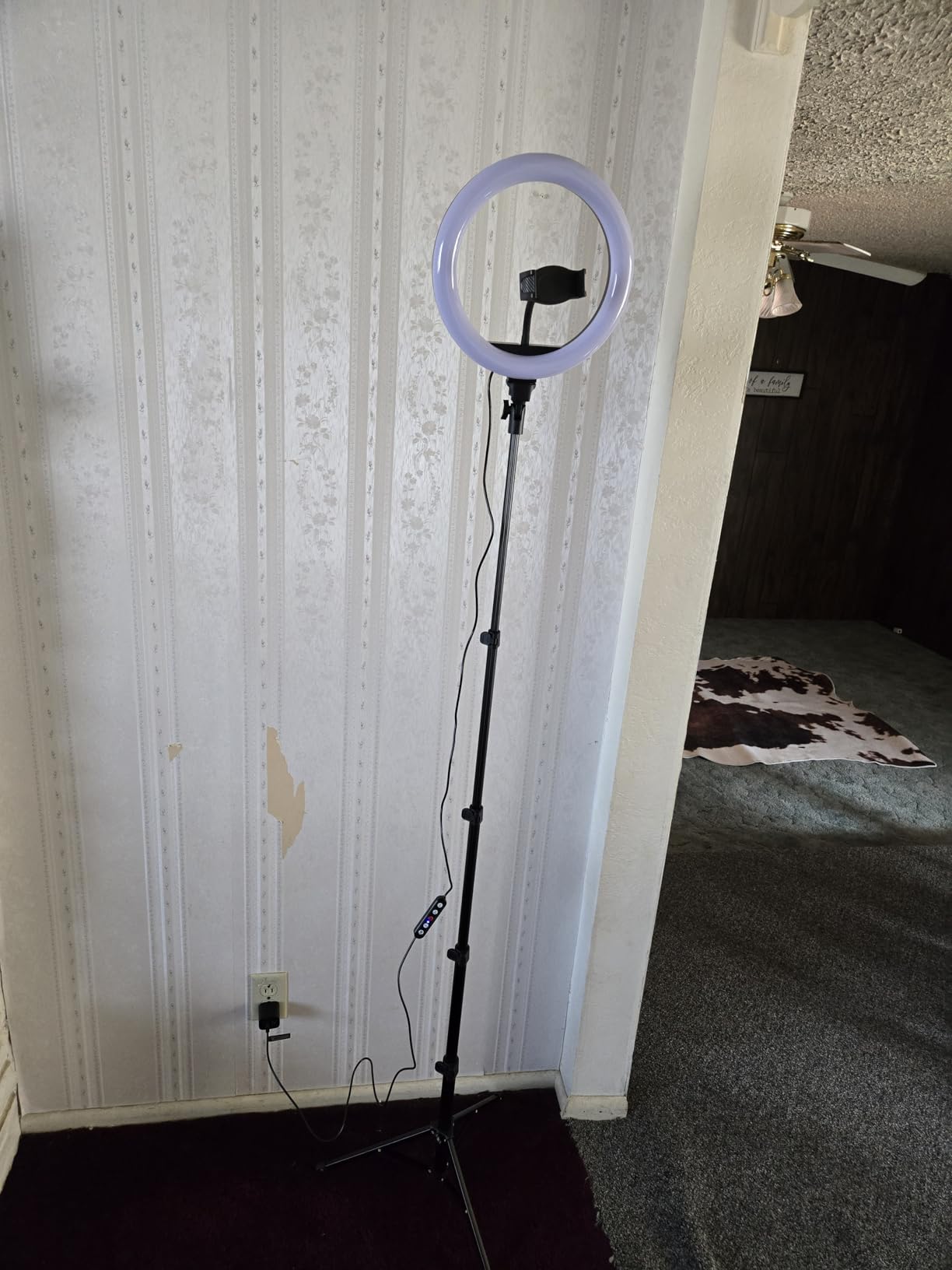 Weilisi 10'' Ring Light with Stand 72'' Tall & Phone Holder,38 Color Modes Selfie Light with Tripod Stand,Stepless Dimmable/Speed LED Ring Light for iPhone & Android,YouTube, Makeup,TIK Tok customer photo 1