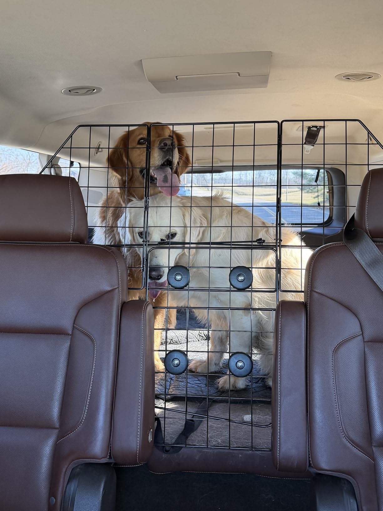 Gtongoko Dog Car Barriers for SUVs, Vehicles, Cars, Trucks, Upgraded Adjustable Heavy-Duty Wire Mesh Pet SUV Barriers Universal-Fit, Car Accessories Safety Travel, 2pcs 51.2In Elastic Ropes Included customer photo 1