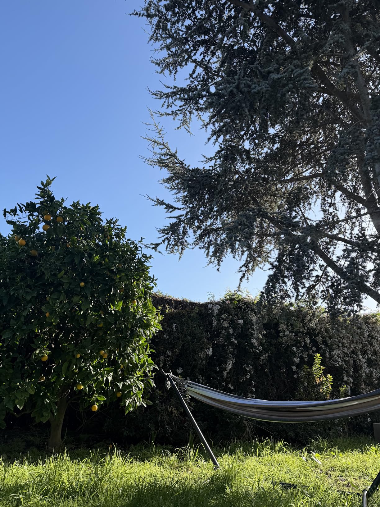 PNAEUT Double Hammocks with Stand for Outside, Portable Space Saving Heavy-Duty Steel Frame for Indoor Outdoor Patio Yard, Easy Assembly, 2 Person 450 lbs Capacity (Coffee) customer photo 2