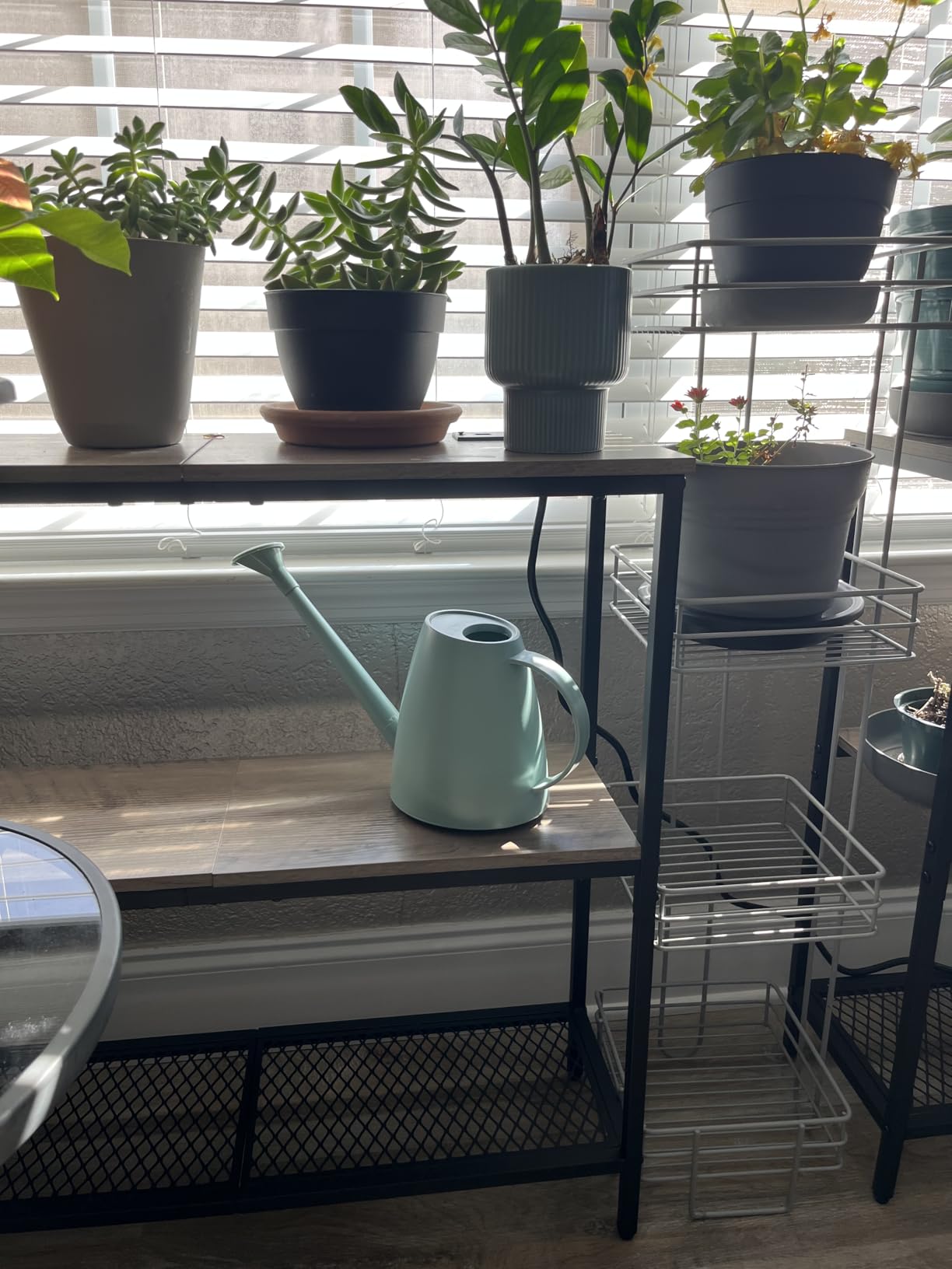 Watering Can for Indoor and Outdoor Plants - Long Spout Water Can for Garden, Flower, House Plants - 1.8L/1/2 Gallon (Green) customer photo 1