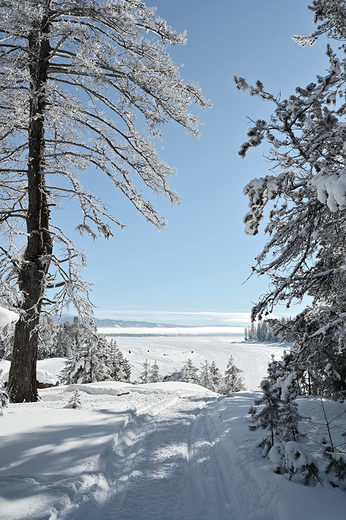 Nikon Z 6II | Versatile full-frame mirrorless stills/video hybrid camera | Nikon USA Model customer photo 1