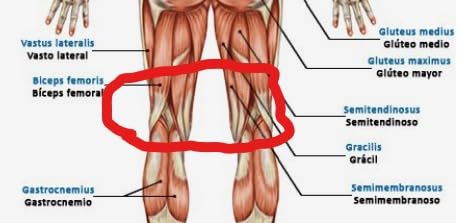 SelectSoma Double-Thick Gel Seat Cushion for Long Sitting Pressure Relief for Back, Sciatica, Coccyx, Tailbone Pain - Cushion for Office Chair, Wheelchair, Car & Truck, Patio Chairs - Egg Seat Pad customer photo 2