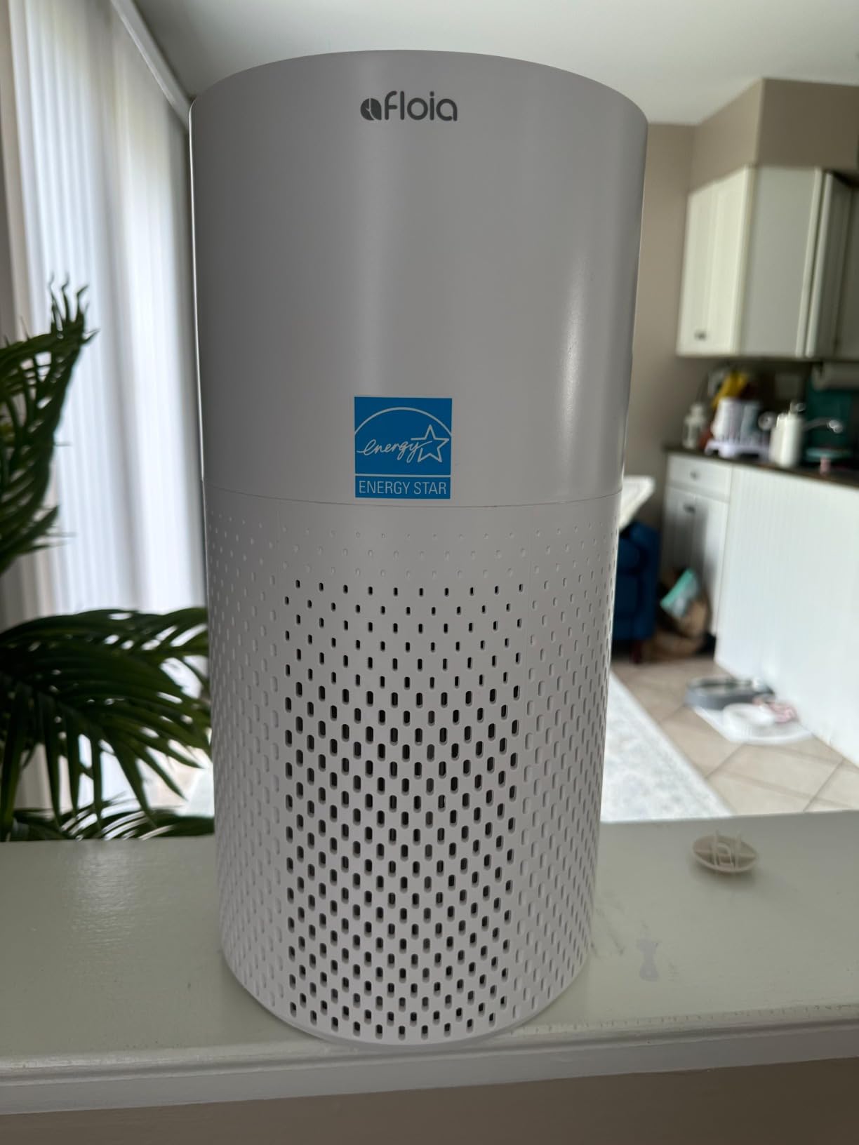 Afloia Air Purifiers for Home Bedroom Large Room Up to 1076 Ft², 3-Stage Filter Cleaner Odor Eliminator, Remove Pets Dust Dander Hair Allergy Mold Pollen Smoke Smell, Quiet 22 dB, 7 Colors Night Light customer photo 2