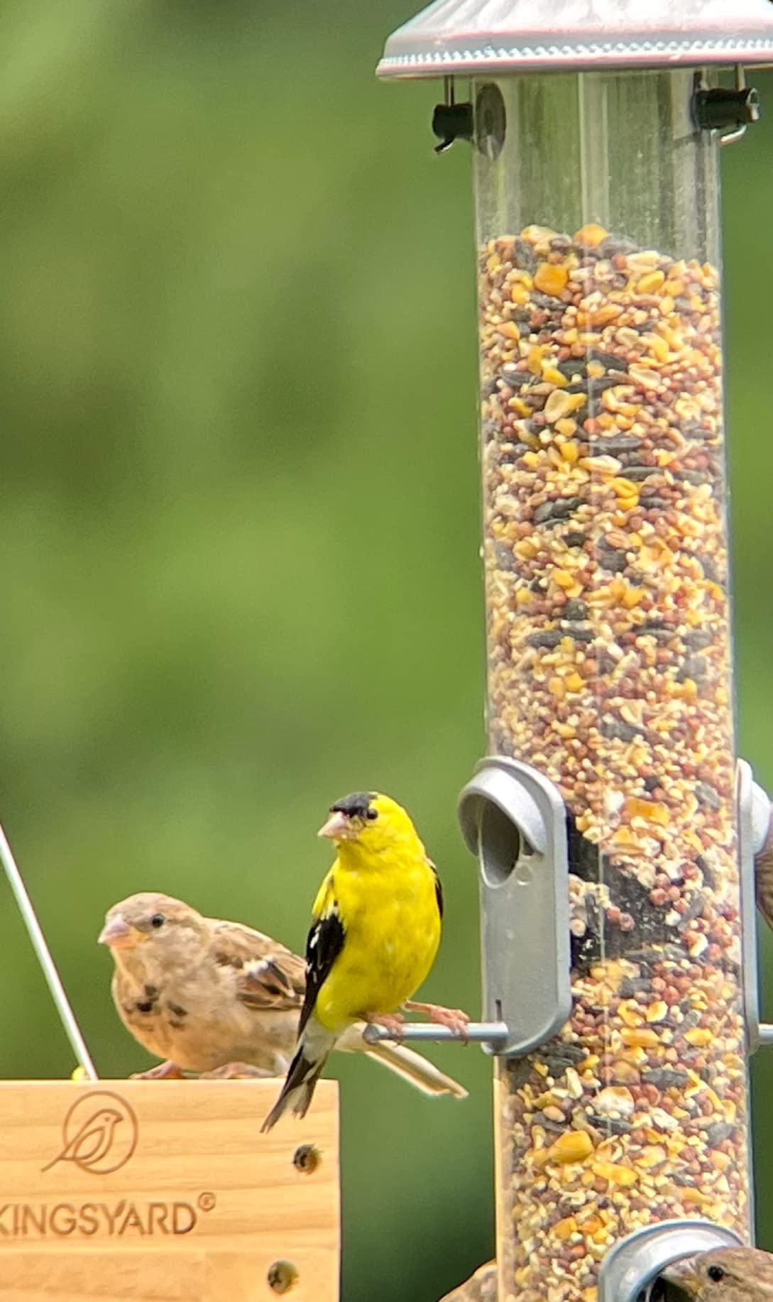 Athlon Optics Ares G2 20-60x85 UHD Spotting Scope customer photo 1