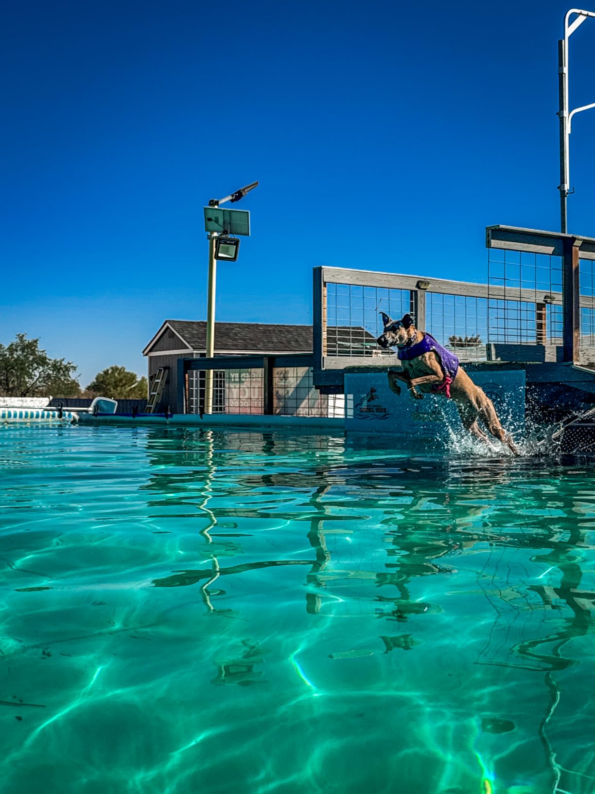 Ruffwear Float Coat Dog Life Jacket, Premium Buoyancy Swim Vest with Lift Handle, Secure Fit & Reflective Trim, Adjustable Flotation for Swimming, Boating, & Outdoor Adventures, Blue Dusk, Small customer photo 1
