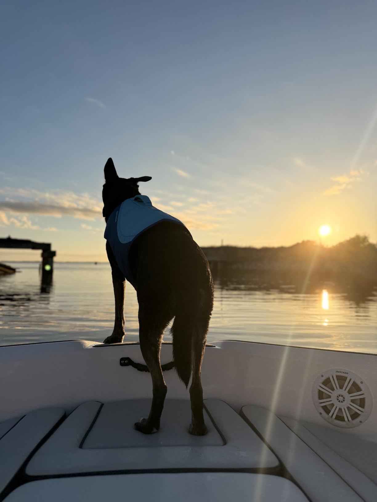 Ruffwear Float Coat Dog Life Jacket, Premium Buoyancy Swim Vest with Lift Handle, Secure Fit & Reflective Trim, Adjustable Flotation for Swimming, Boating, & Outdoor Adventures, Blue Dusk, Small customer photo 2