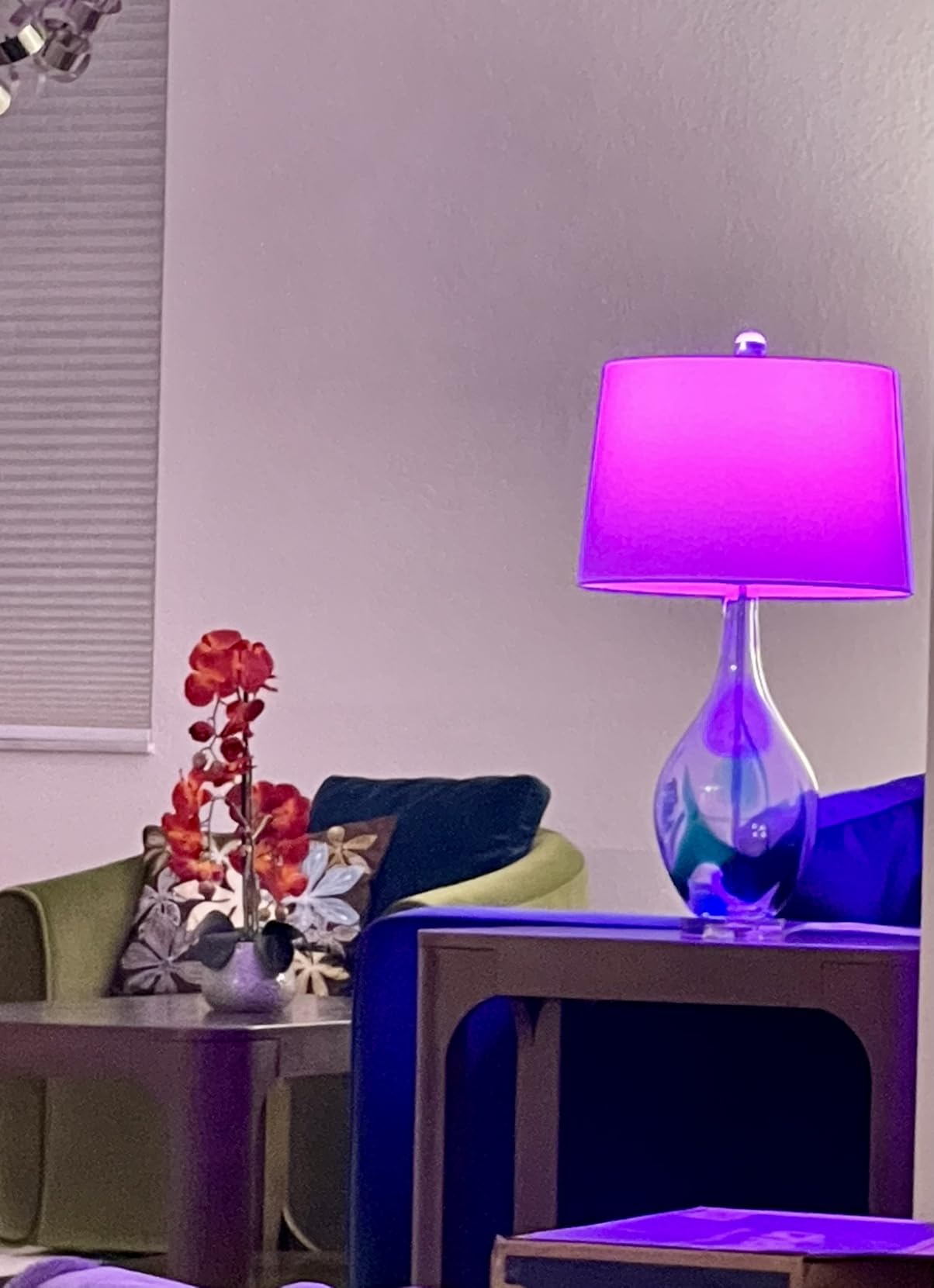 Kasa Smart Light Bulbs, Full Color Changing Dimmable Smart WiFi Bulbs Compatible with Alexa and Google Home, A19, 60 W 800 Lumens, 2.4Ghz only, No Hub Required, 2-Pack (KL125P2), Multicolor customer photo 2