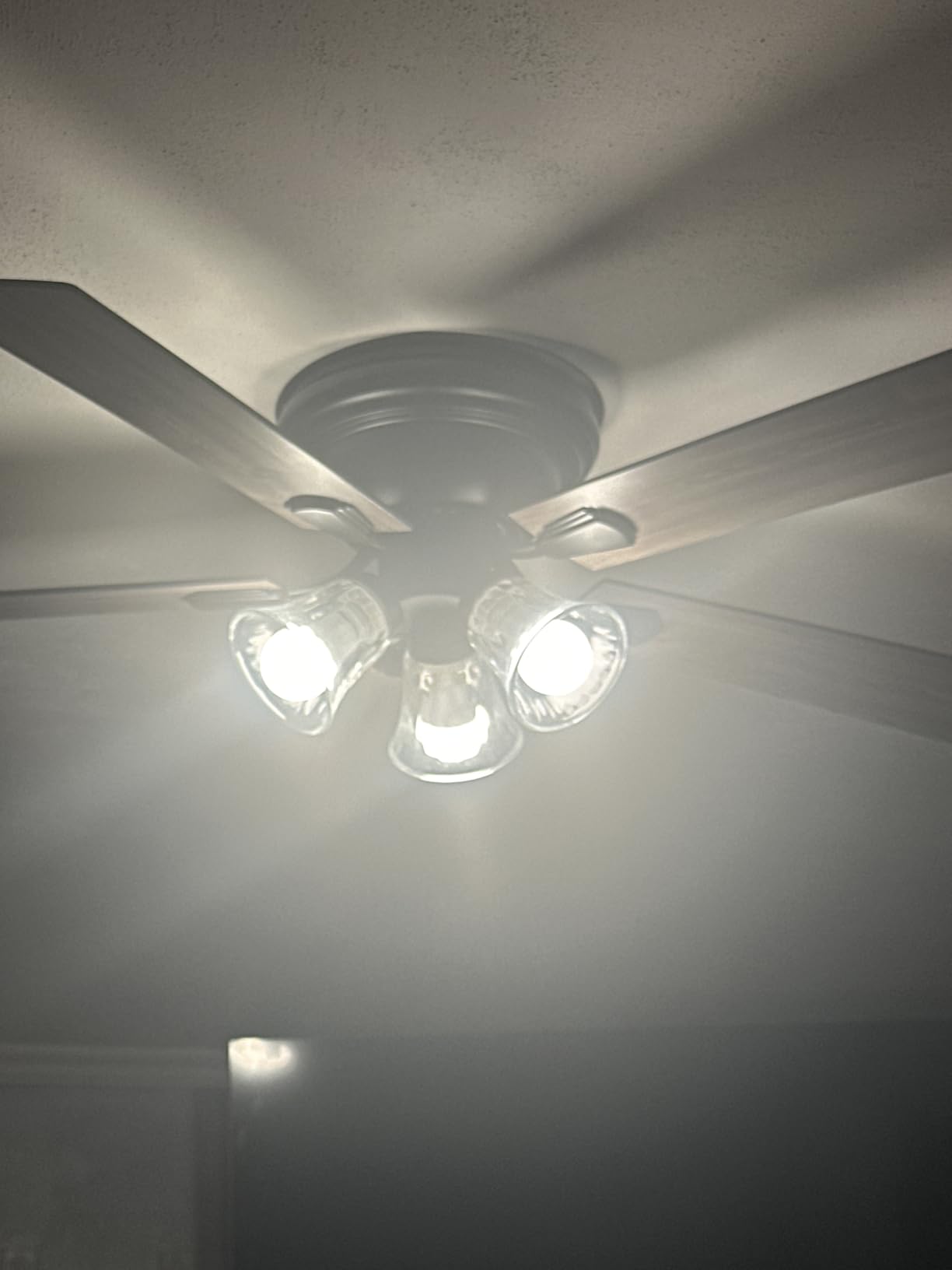 Kasa Smart Light Bulbs, Full Color Changing Dimmable Smart WiFi Bulbs Compatible with Alexa and Google Home, A19, 9W 800 Lumens,2.4Ghz only, No Hub Required, 4 Count (Pack of 1), Multicolor (KL125P4) customer photo 1