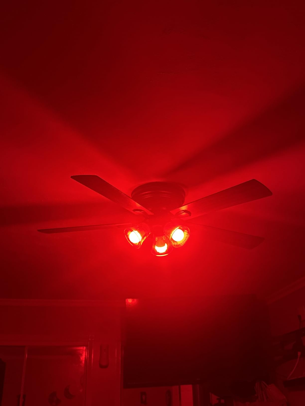 Kasa Smart Light Bulbs, Full Color Changing Dimmable Smart WiFi Bulbs Compatible with Alexa and Google Home, A19, 9W 800 Lumens,2.4Ghz only, No Hub Required, 4 Count (Pack of 1), Multicolor (KL125P4) customer photo 2