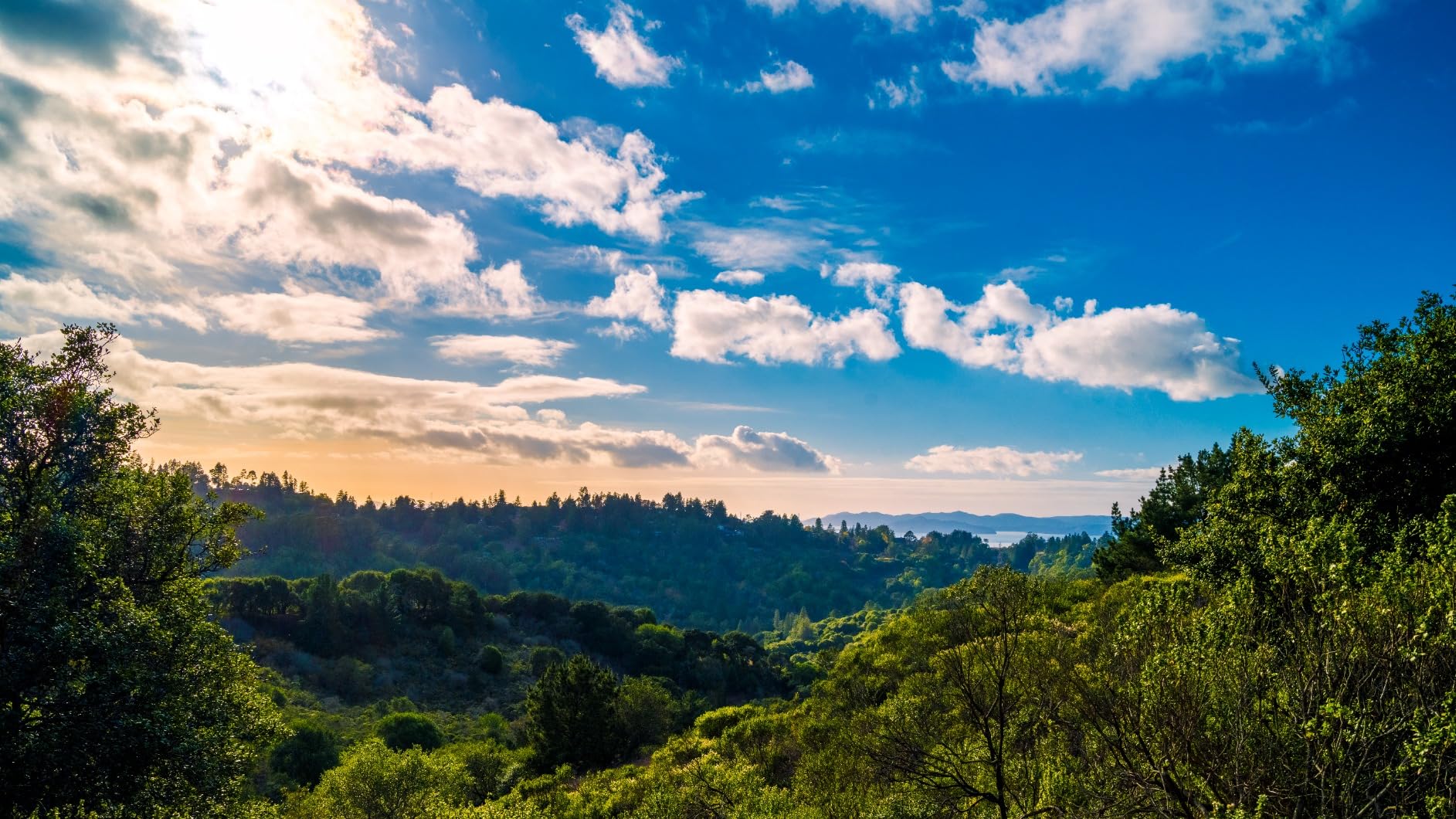 Fujifilm GFX 100S Body - Black - 102MP Medium Format Sensor customer photo 1