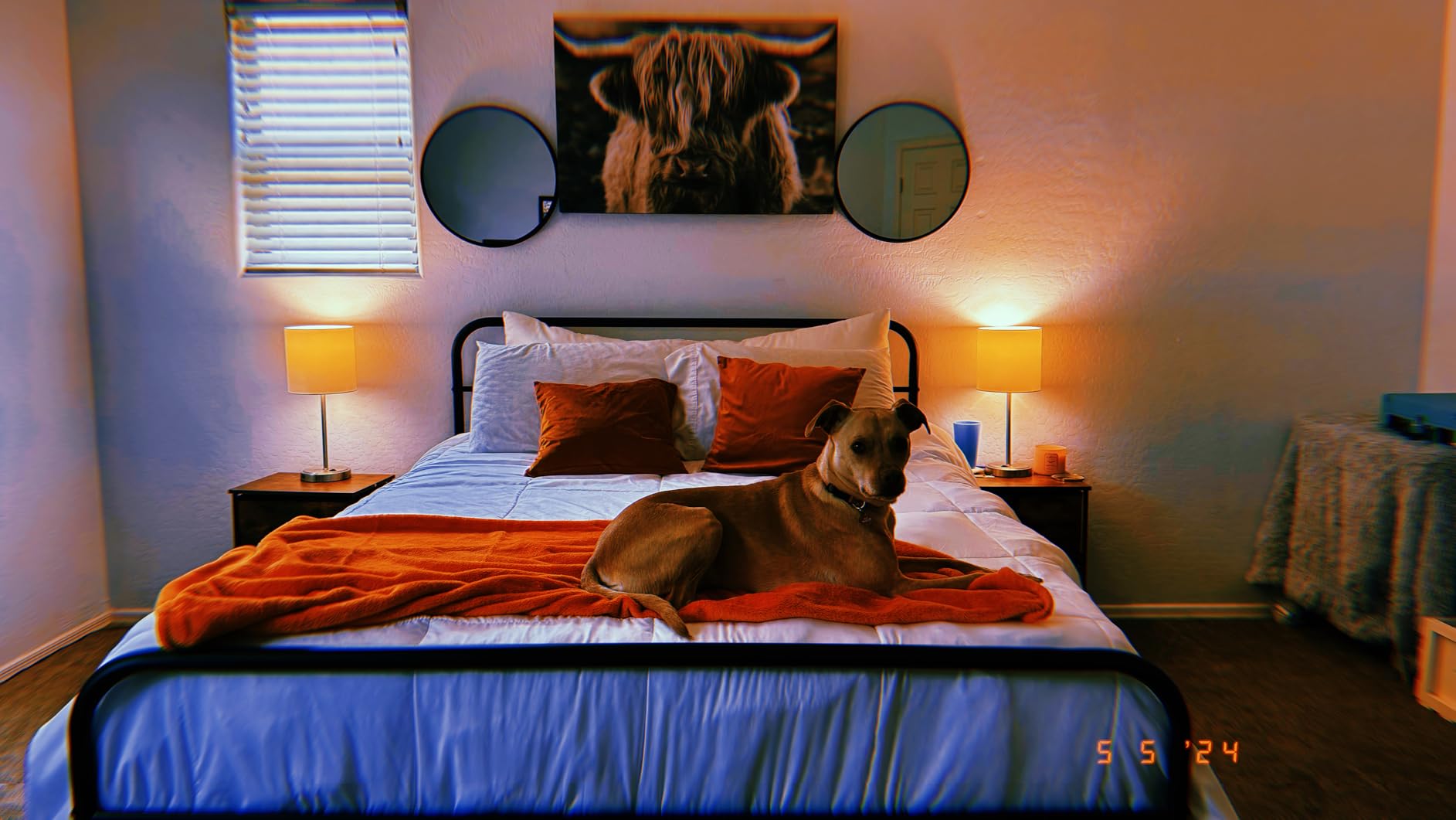 Yaheetech Classic Metal Platform Bed Frame Mattress Foundation with Victorian Style Iron-Art Headboard/Footboard/Under Bed Storage/No Box Spring Needed, Queen Size Black customer photo 2