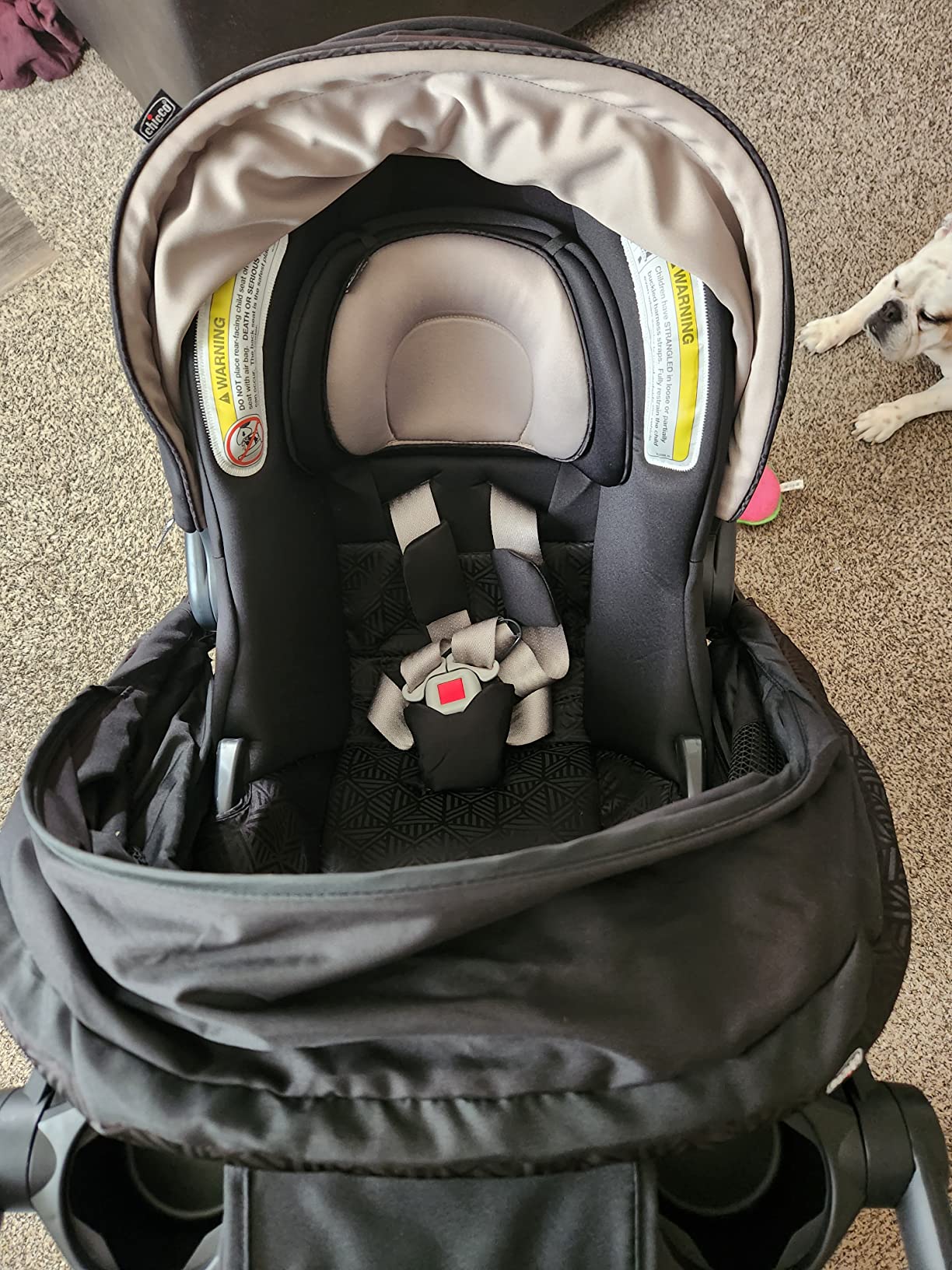 Chicco Bravo Primo 3-in-1 Trio Travel System, Bravo Primo Quick-Fold Stroller with KeyFit 35 Zip Infant Car Seat and Base, Springhill/Black customer photo 1