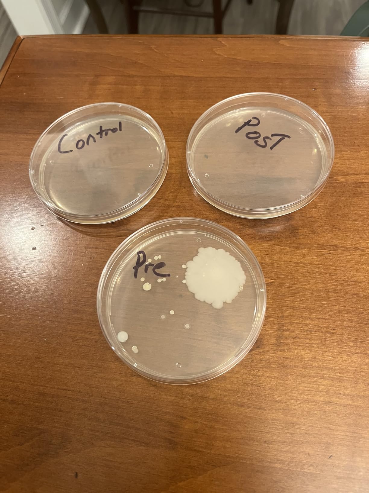 PhoneSoap Basic Cell Phone UV Light Sanitizer Box | Patented and Clinically Proven 360 Degree UV Light Sanitizer | (White) customer photo 1